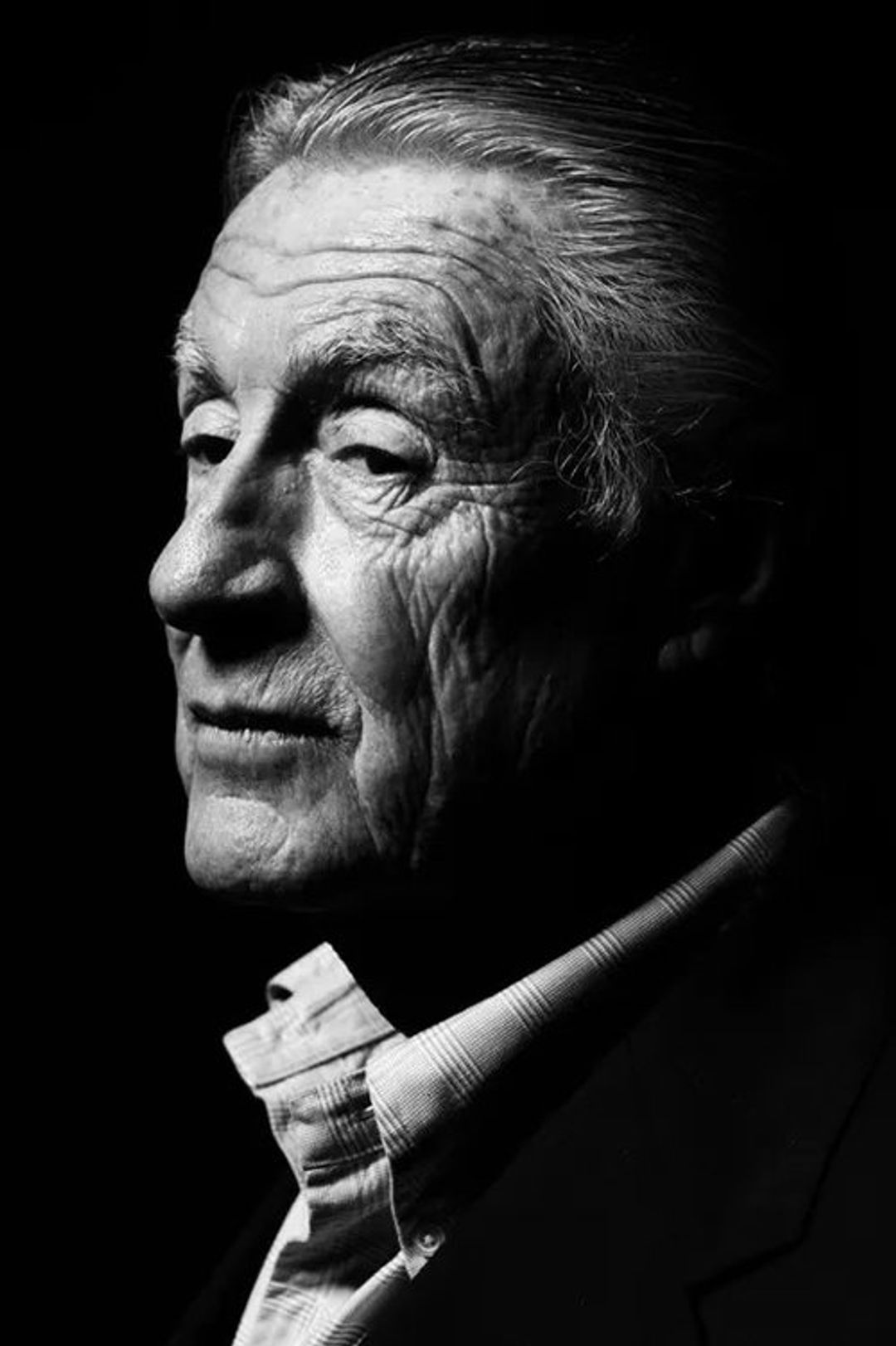 Profile image of Joel Schumacher
