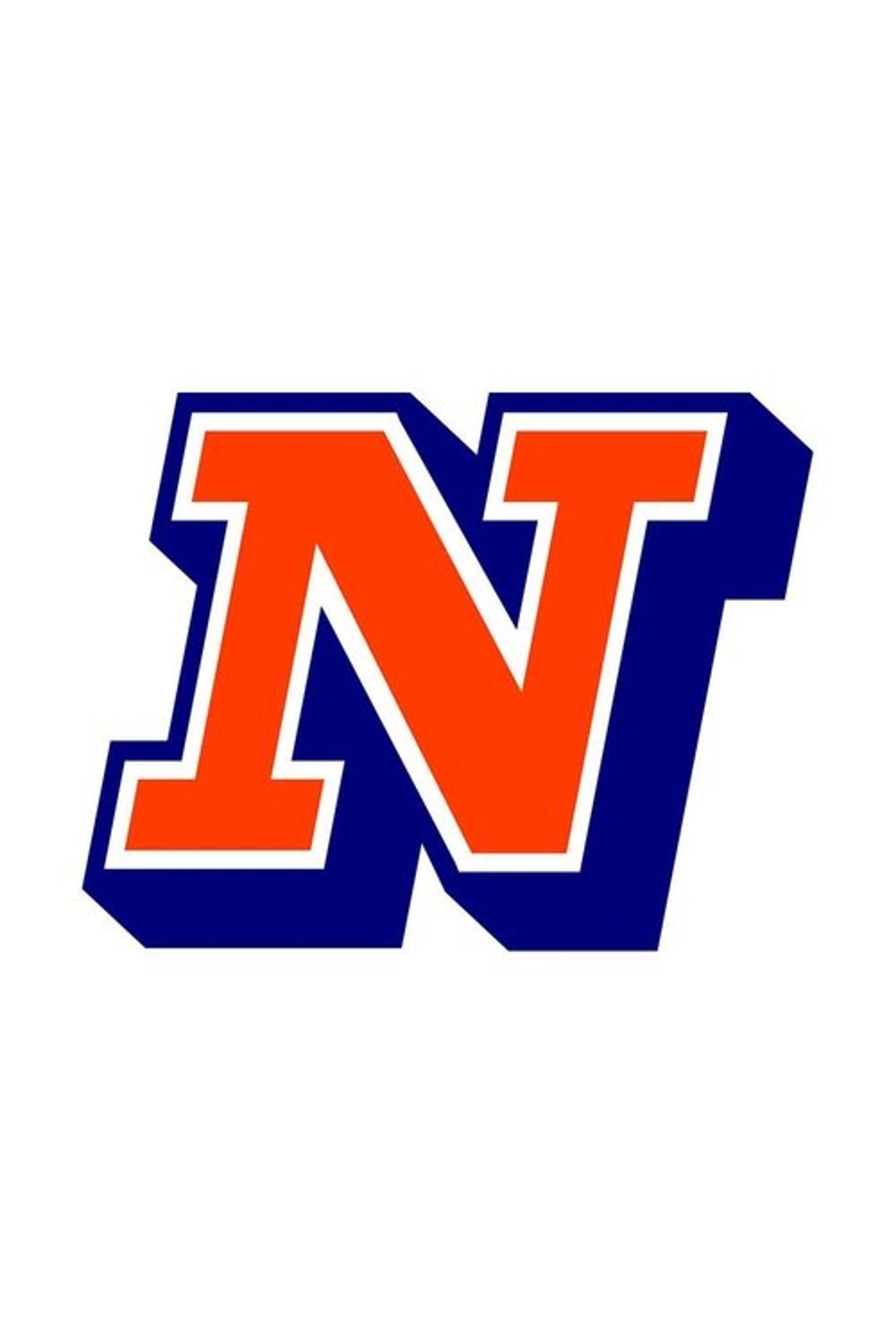 Poster image of Natholdet