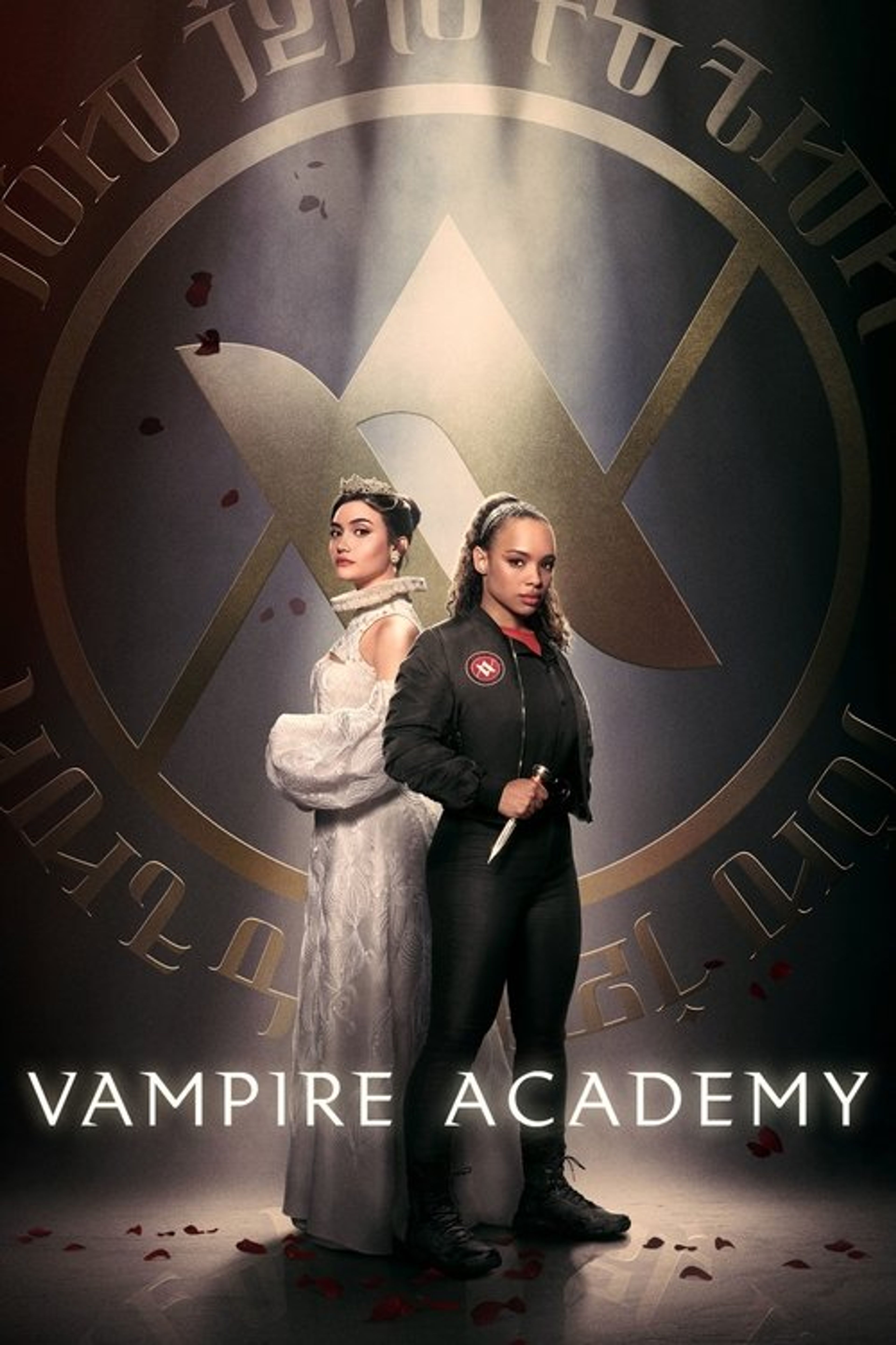 Poster image of Vampire Academy