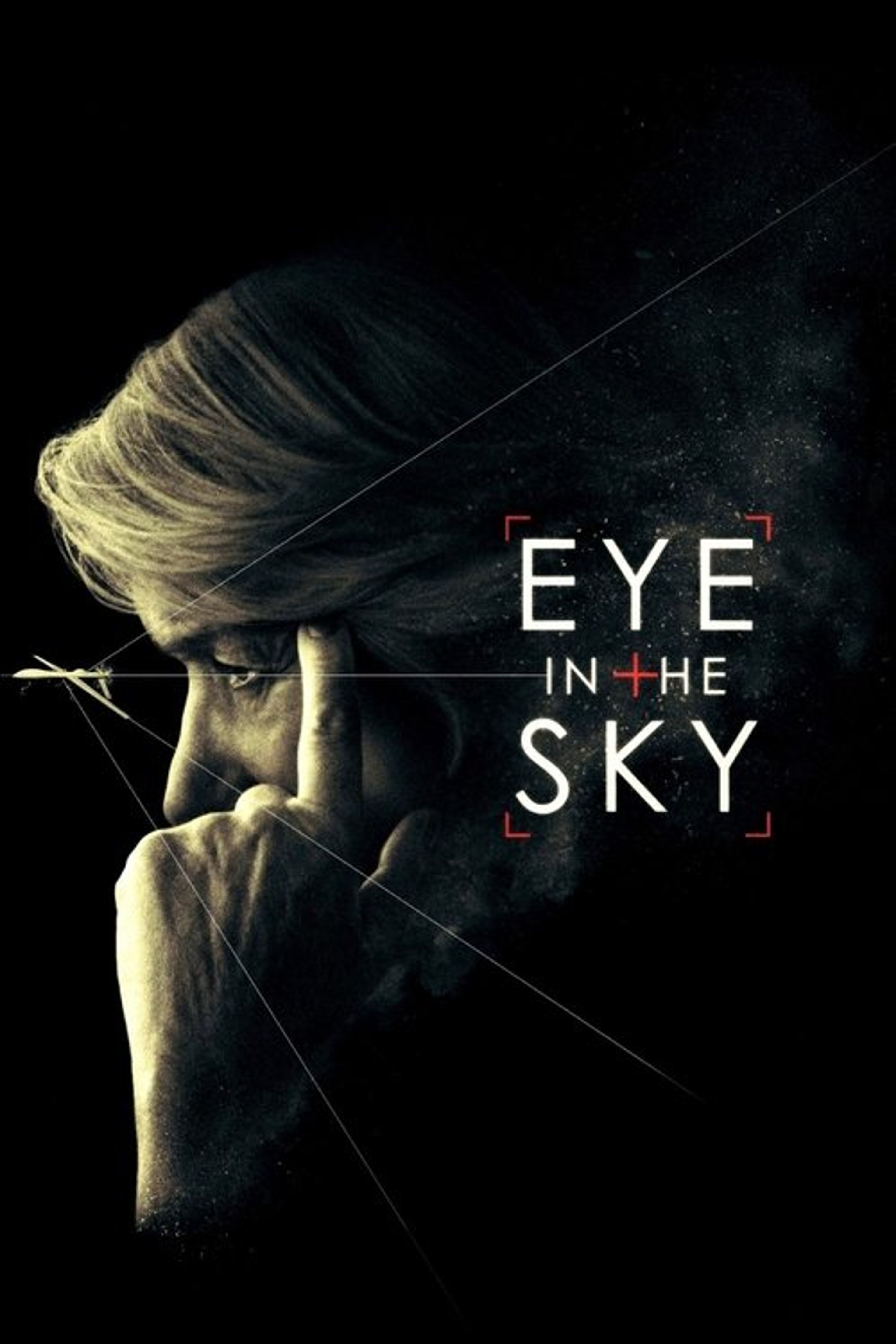 Poster image of Eye in the Sky