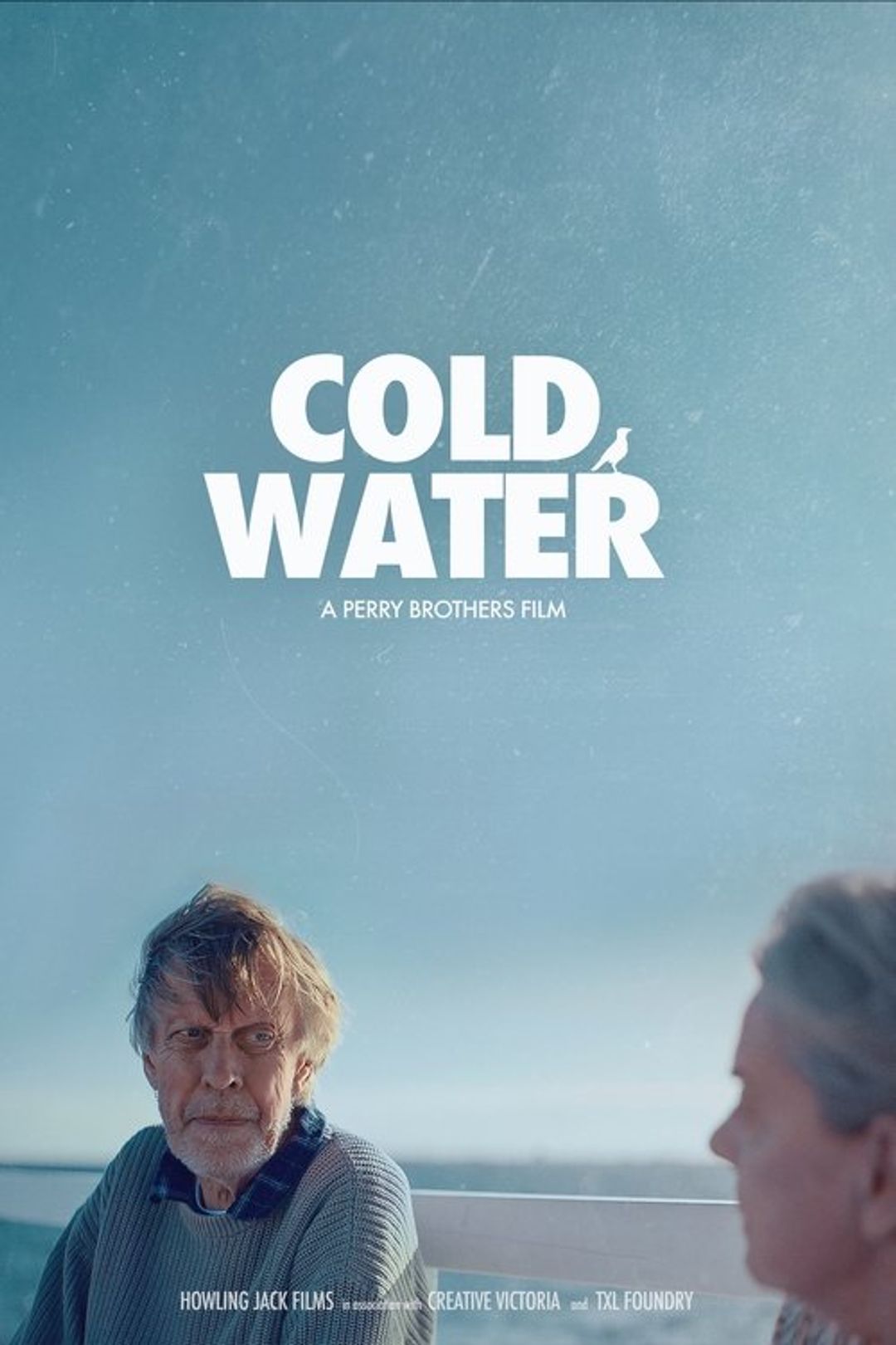 Poster image of Cold Water