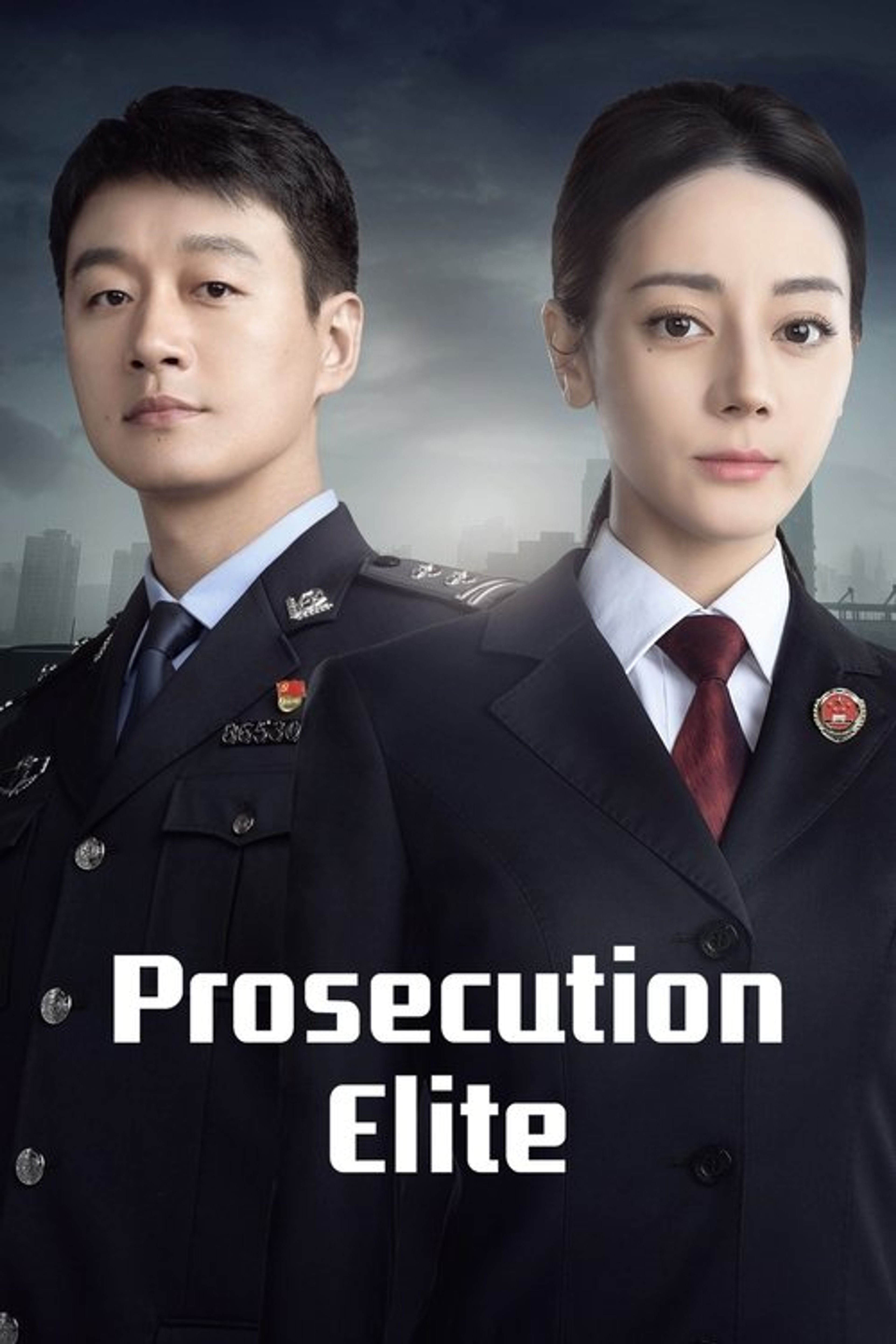 Poster image of Prosecution Elite
