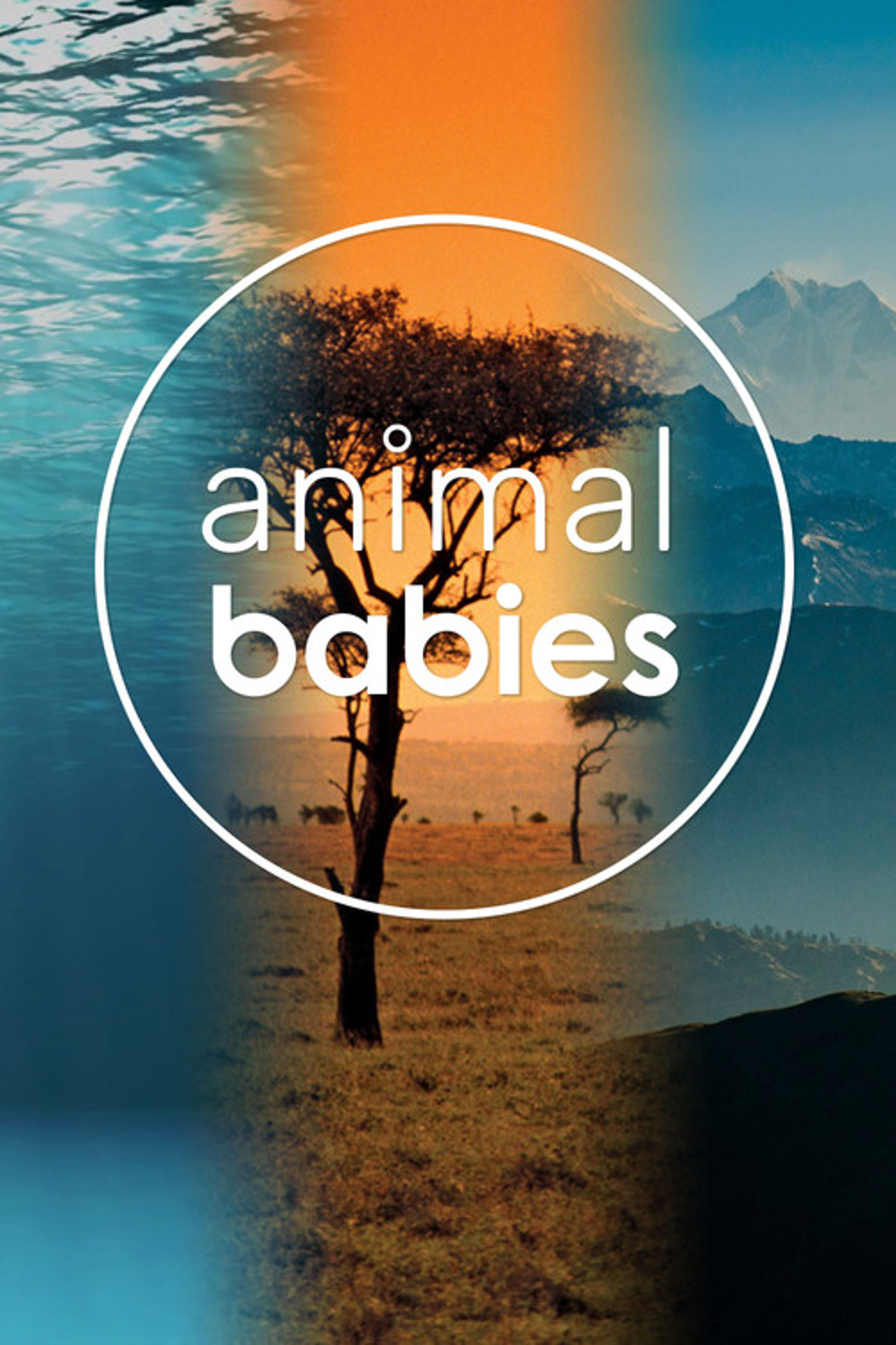 Poster image of Animal Babies
