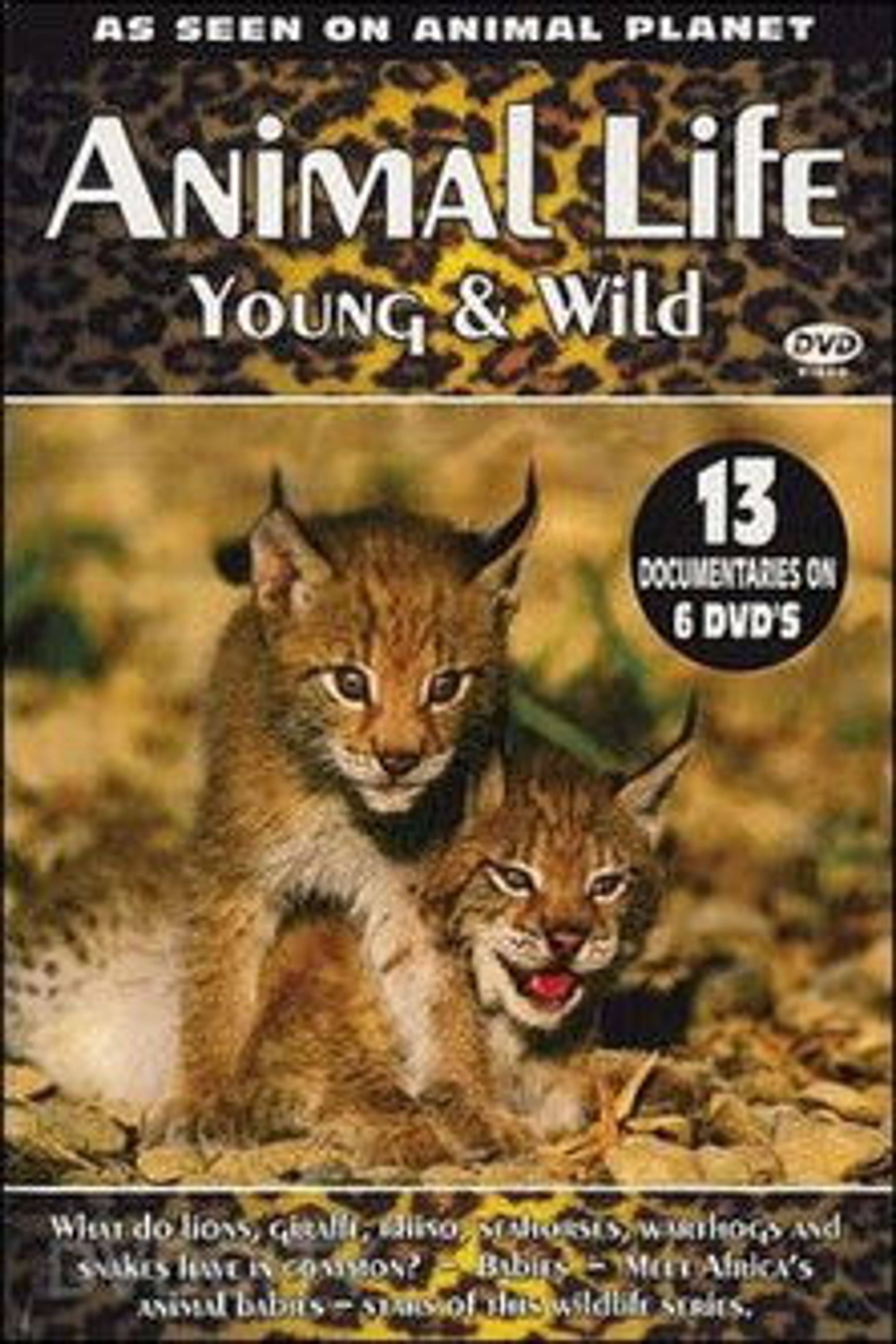 Poster image of Animal Life: Young & Wild