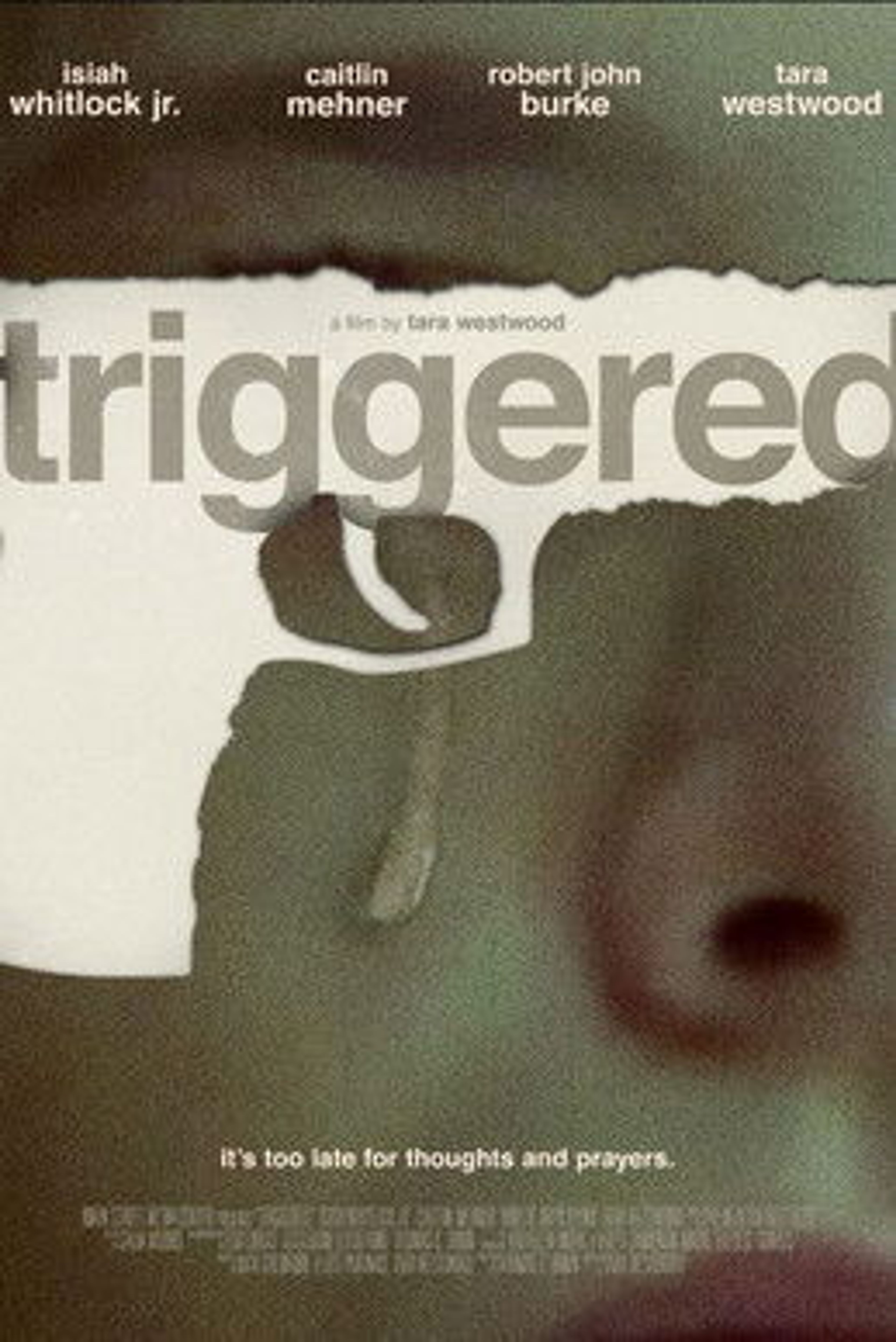 Poster image of Triggered