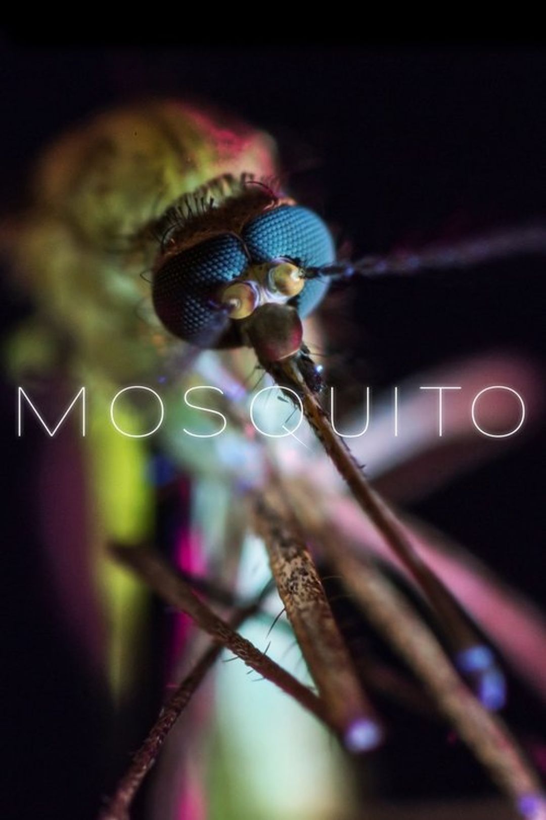 Poster image of Mosquito