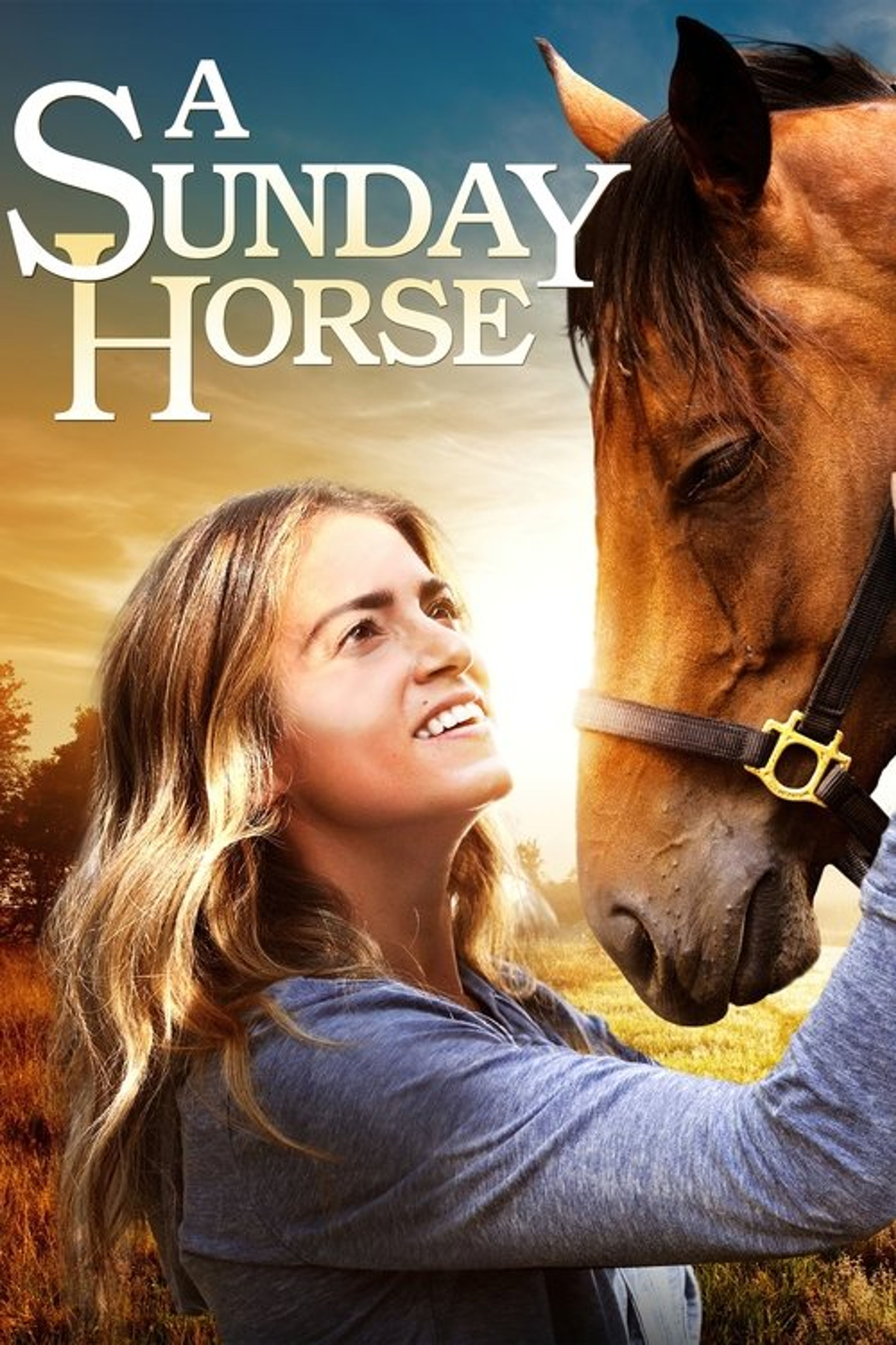 Poster image of A Sunday Horse