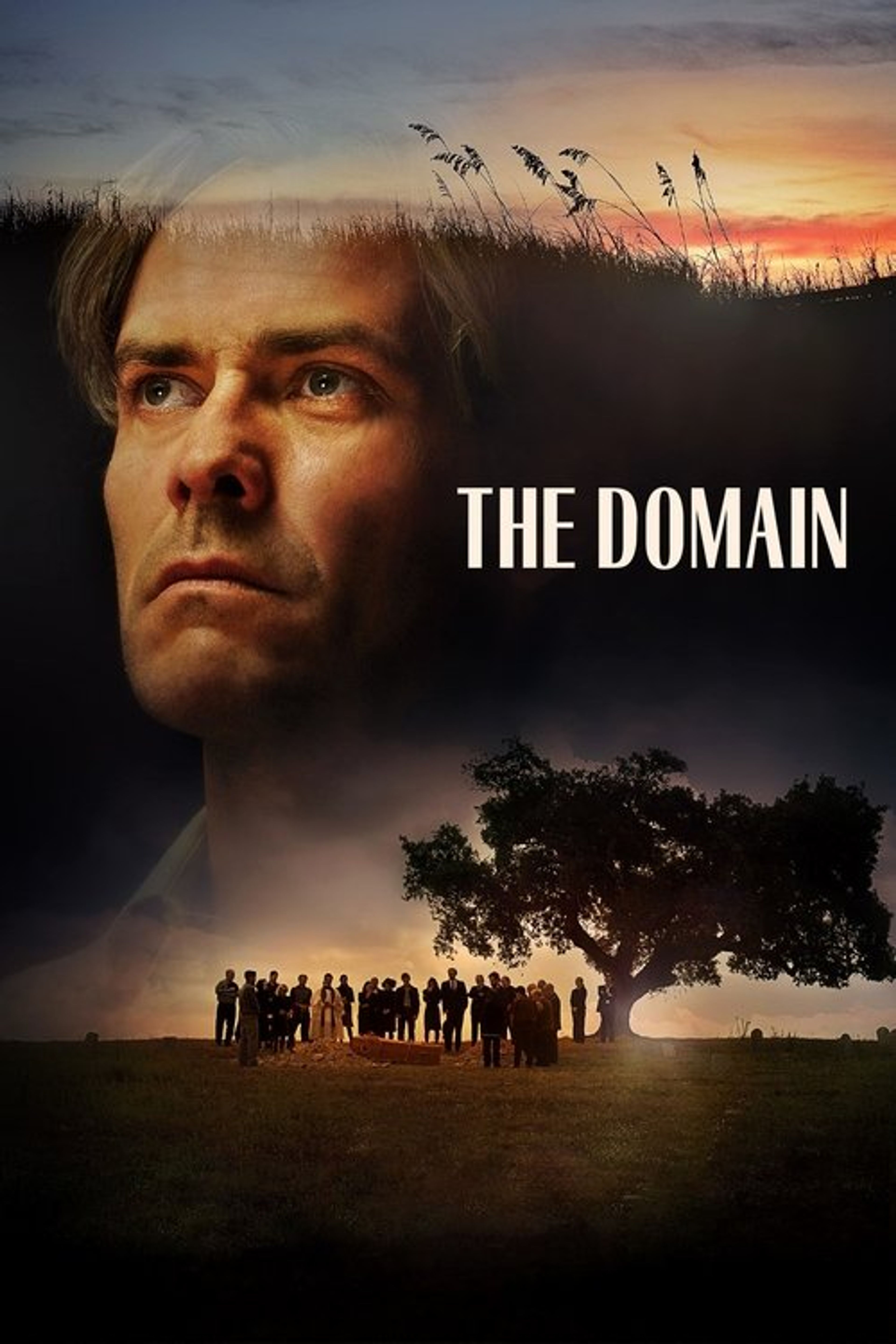 Poster image of The Domain