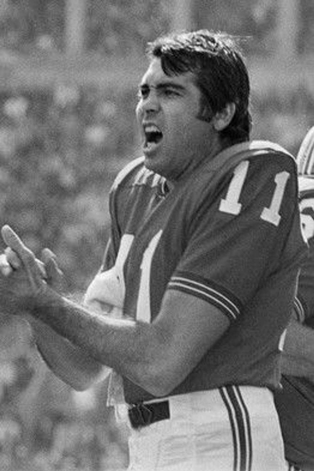 Profile image of Joe Kapp