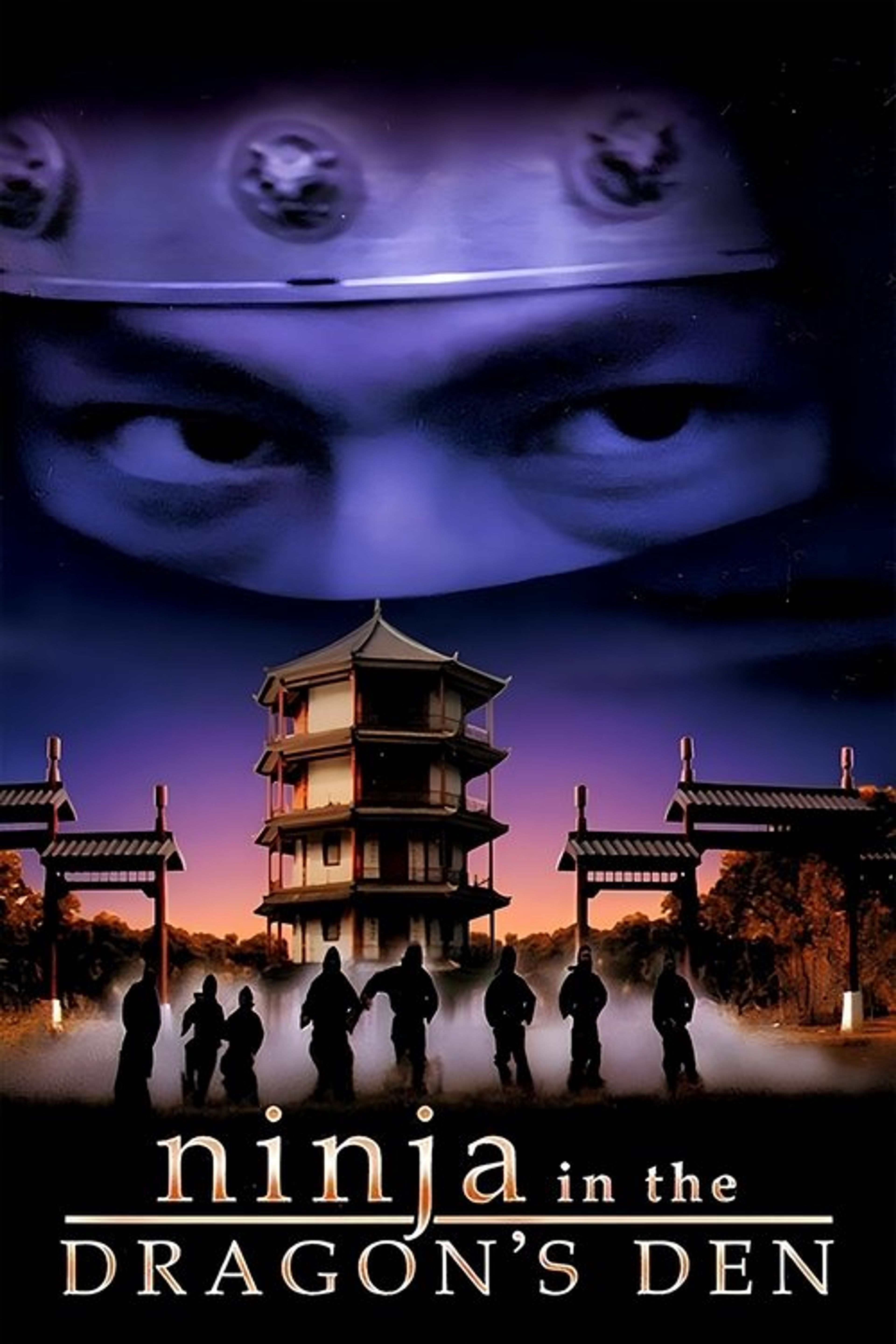 Poster image of Ninja in the Dragon's Den