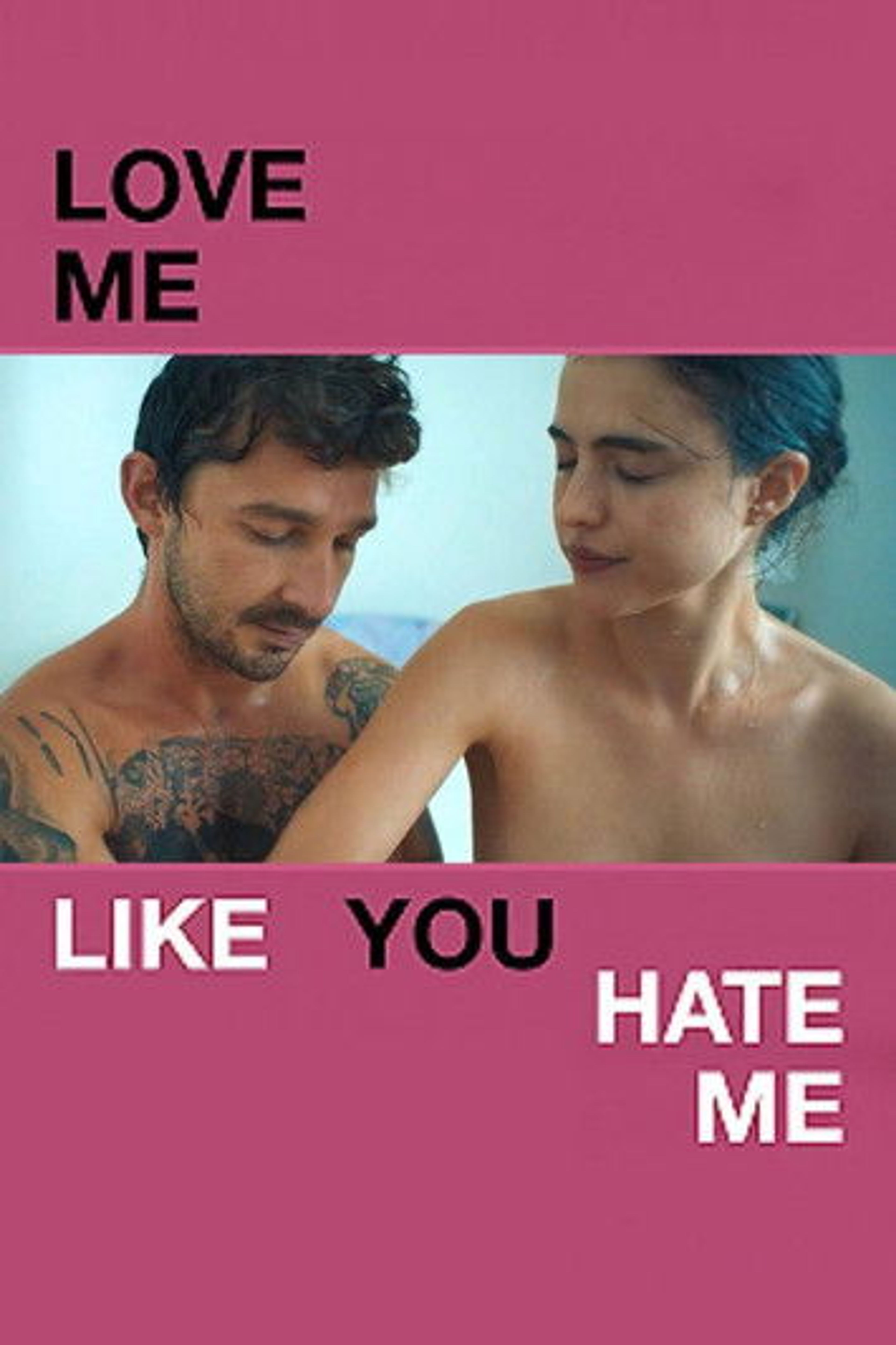 Poster image of Love Me Like You Hate Me