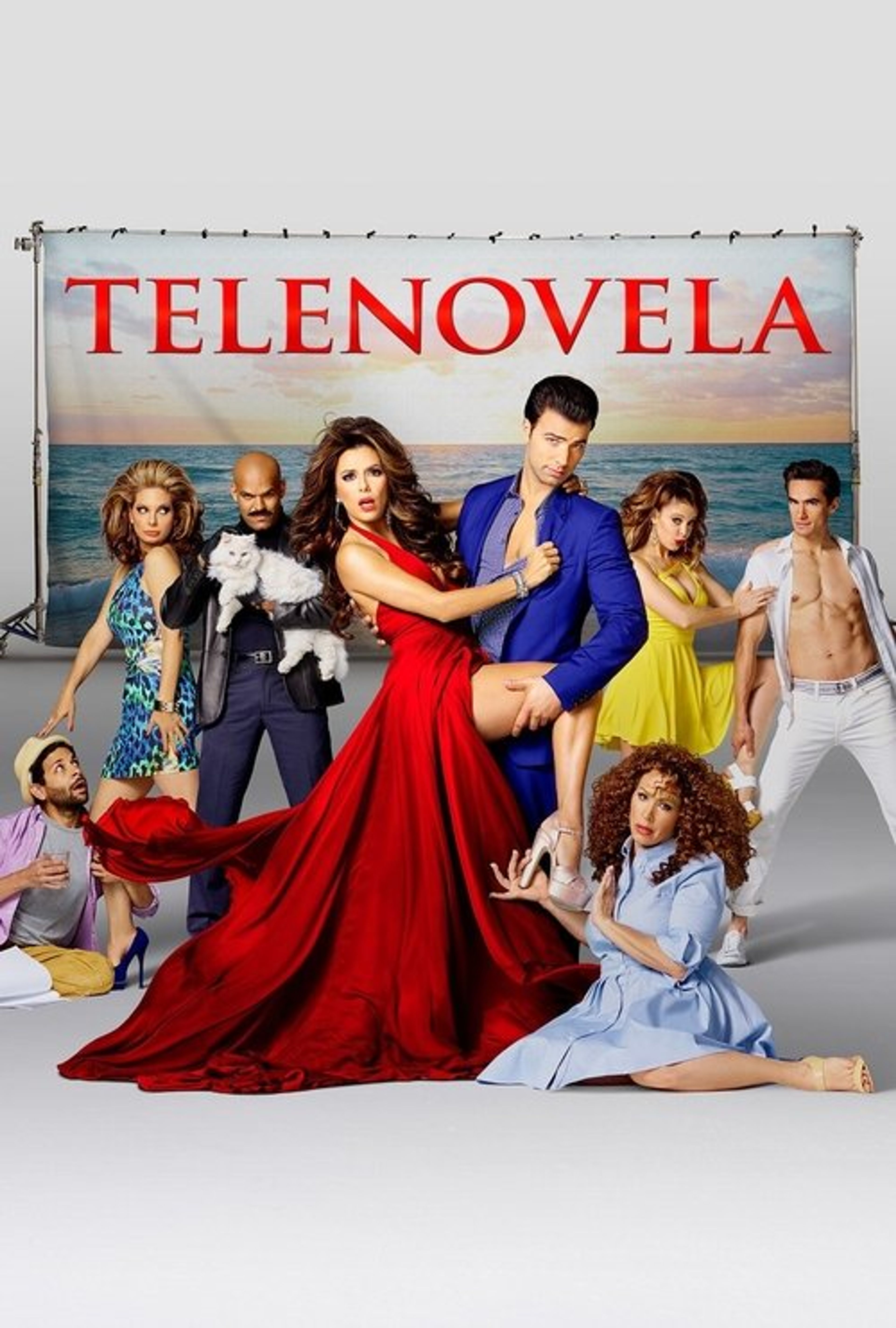 Poster image of Telenovela