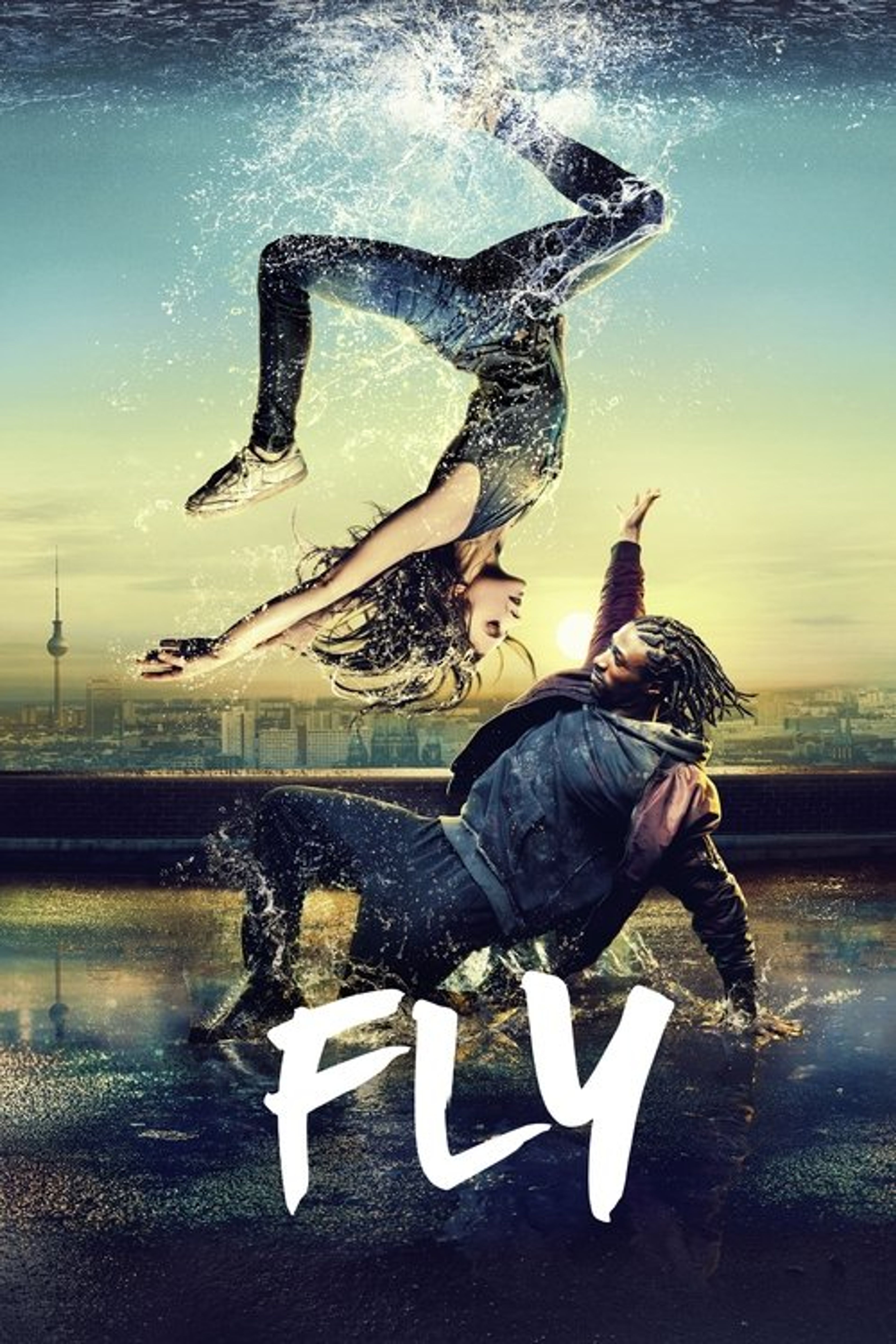 Poster image of Fly