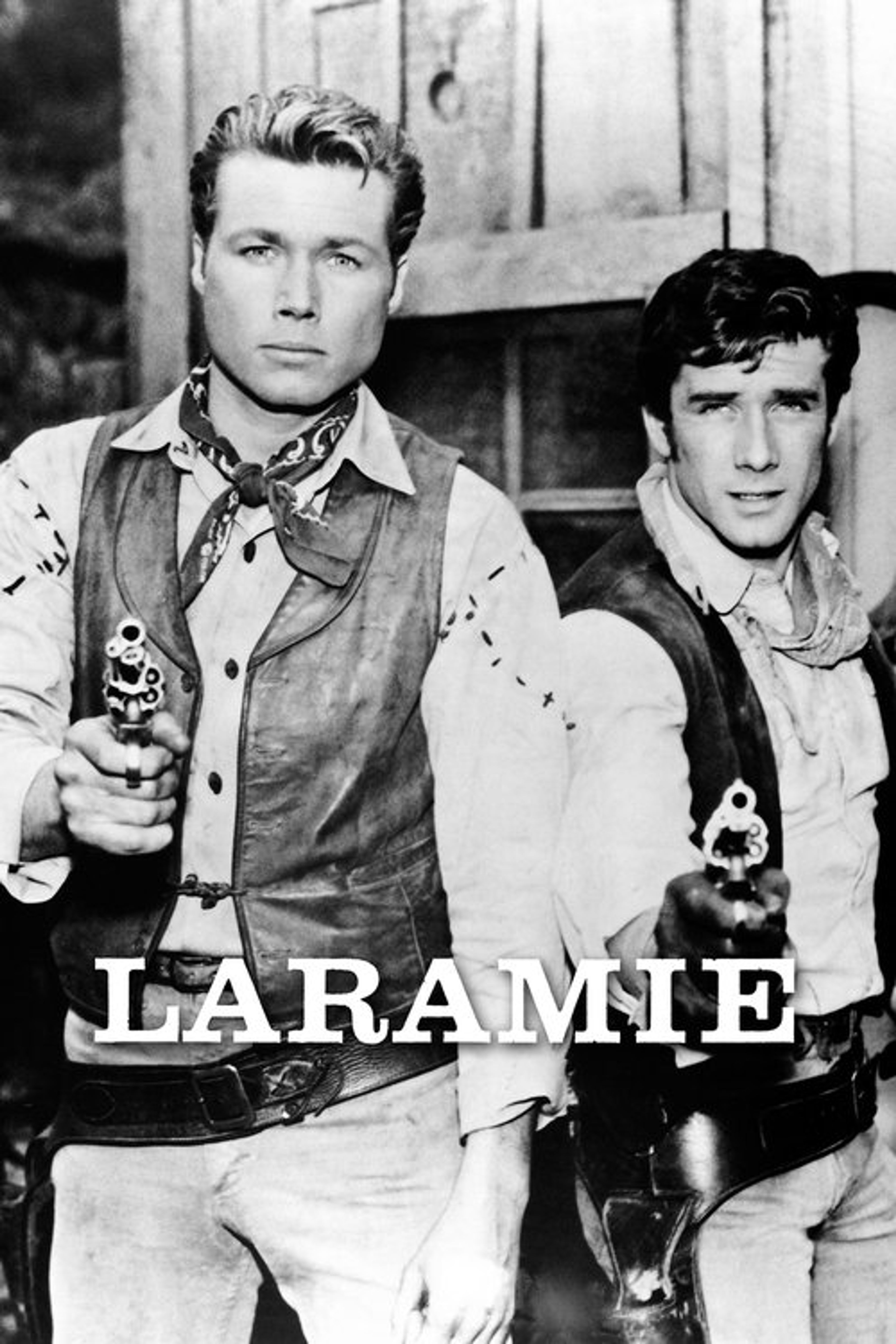 Poster image of Laramie