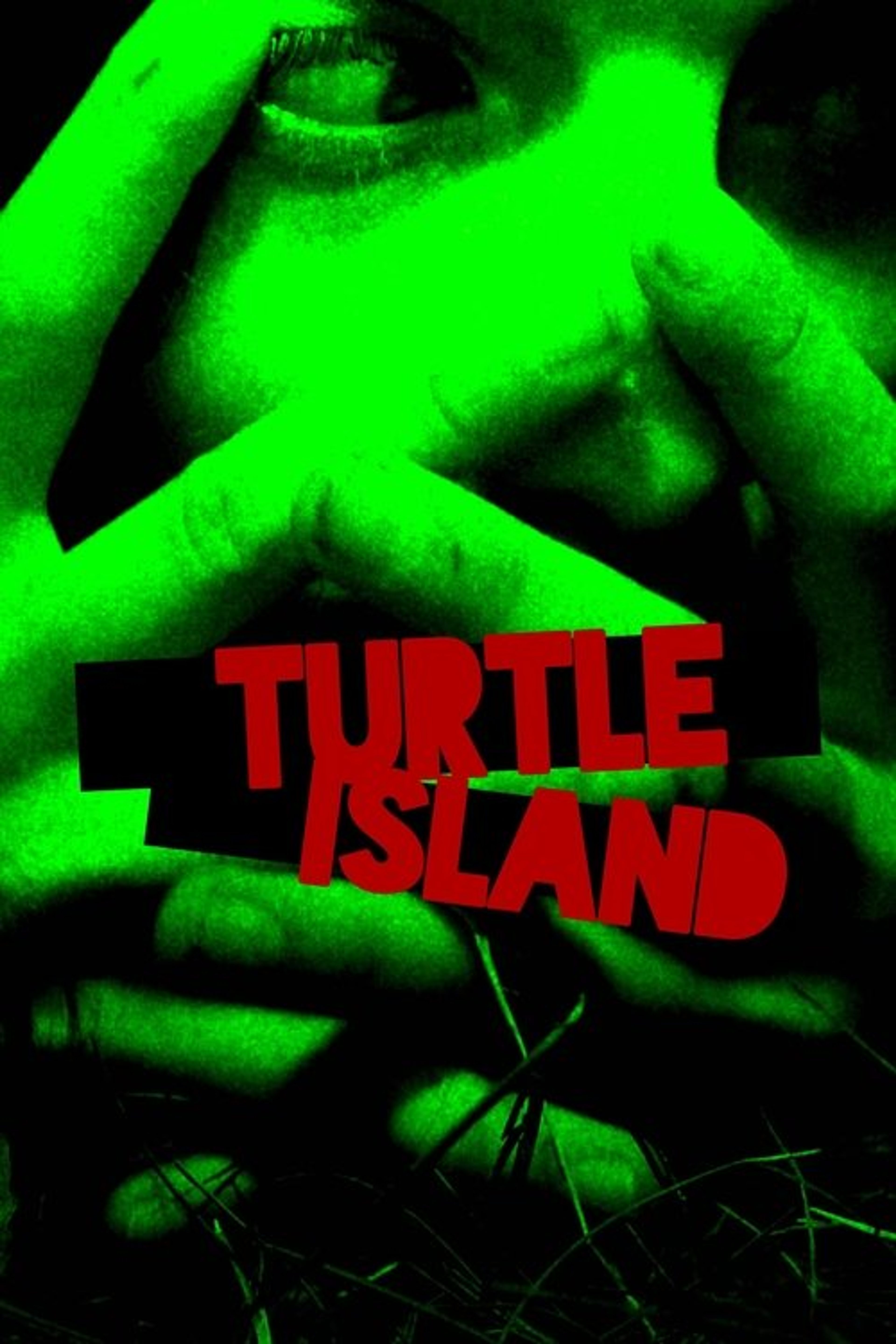 Poster image of Turtle Island