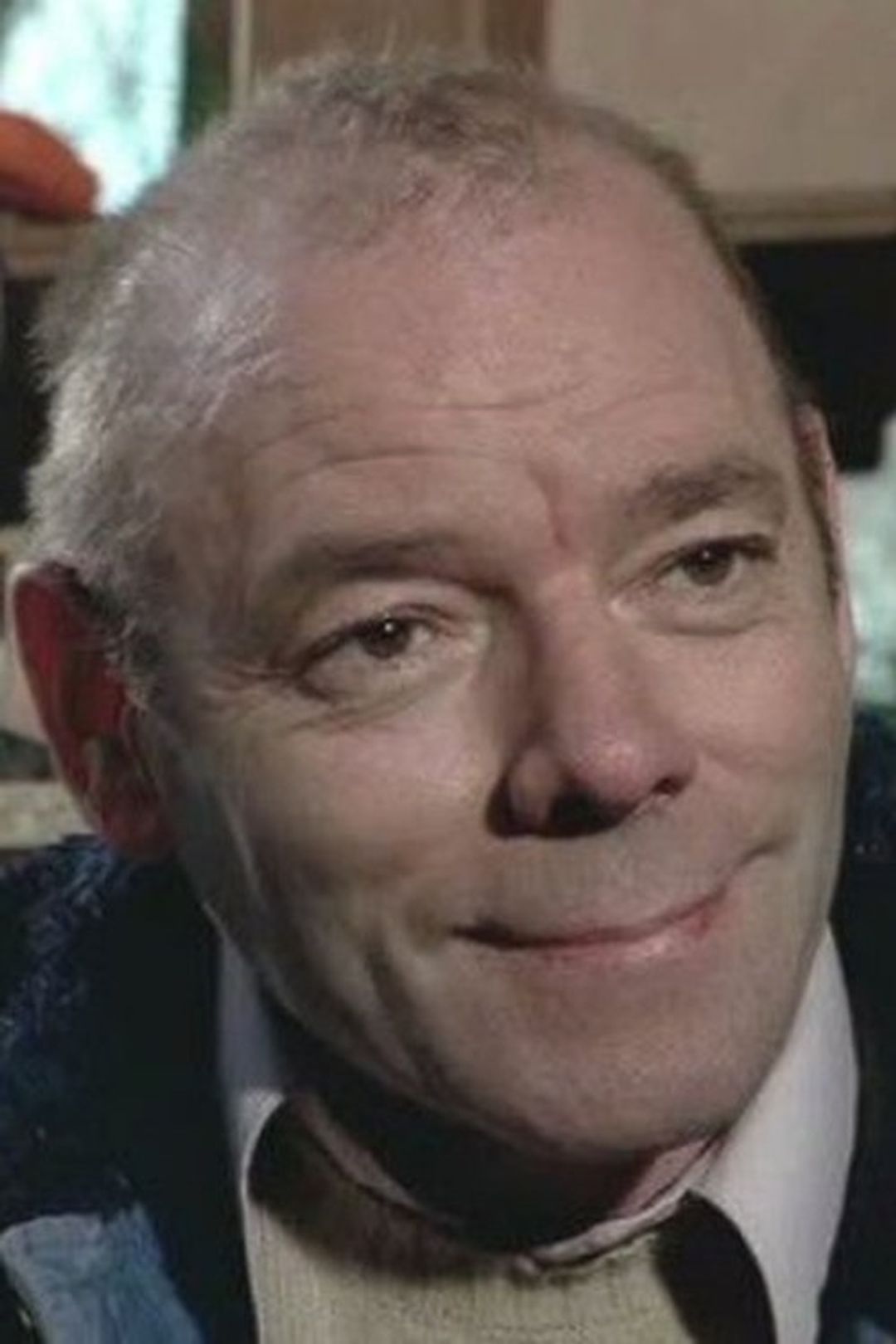 Profile image of Dominique Zardi