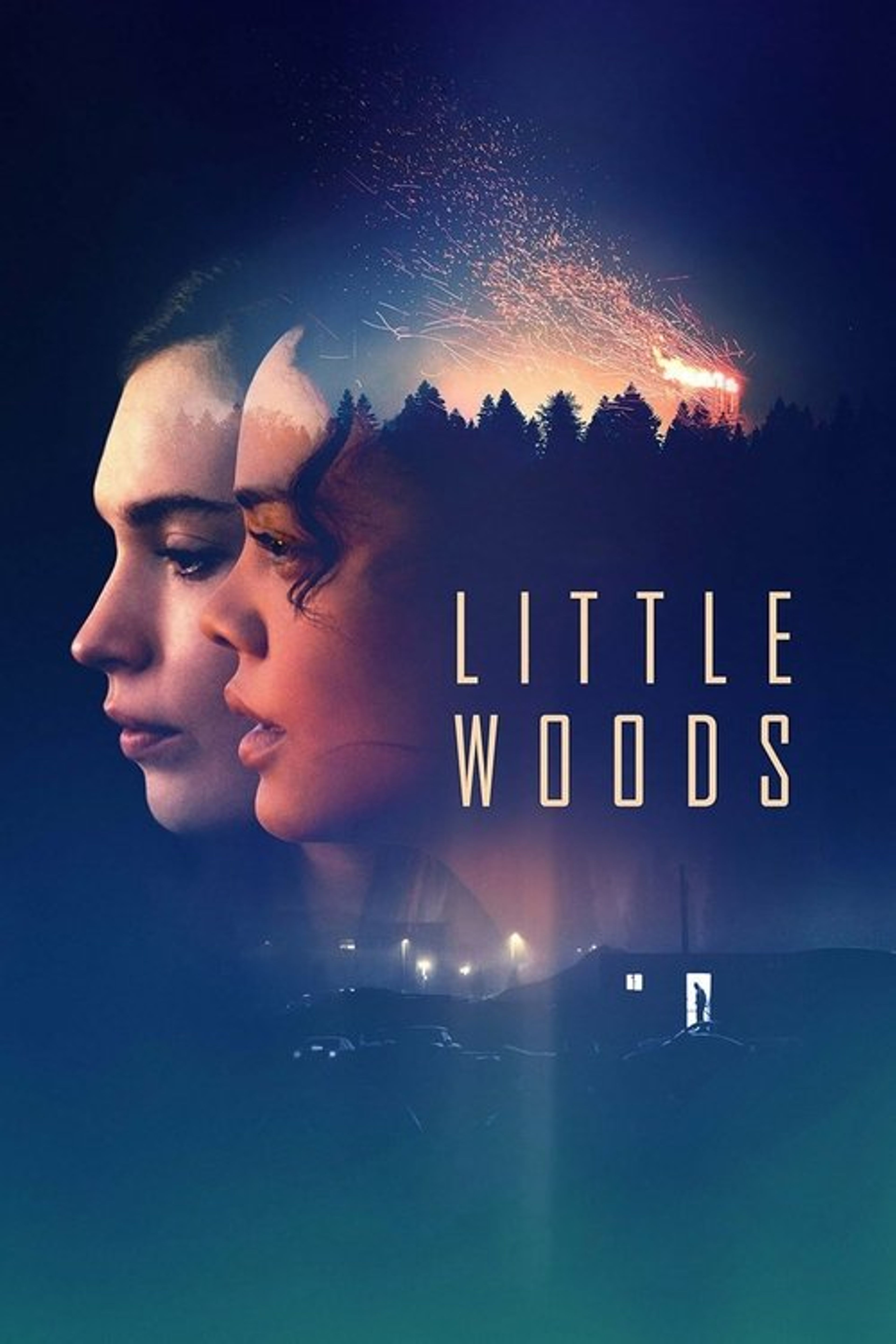 Poster image of Little Woods