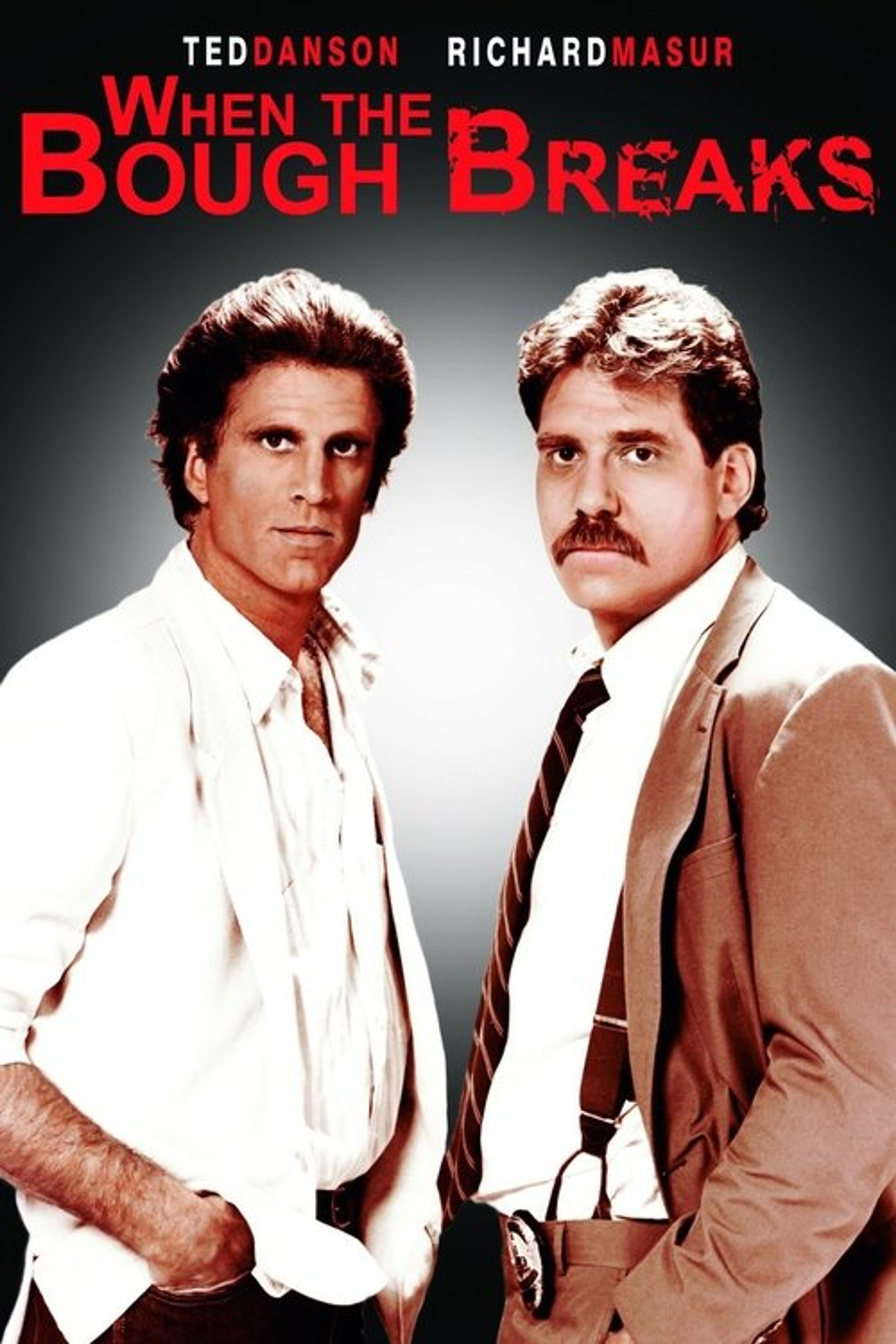 Poster image of When the Bough Breaks