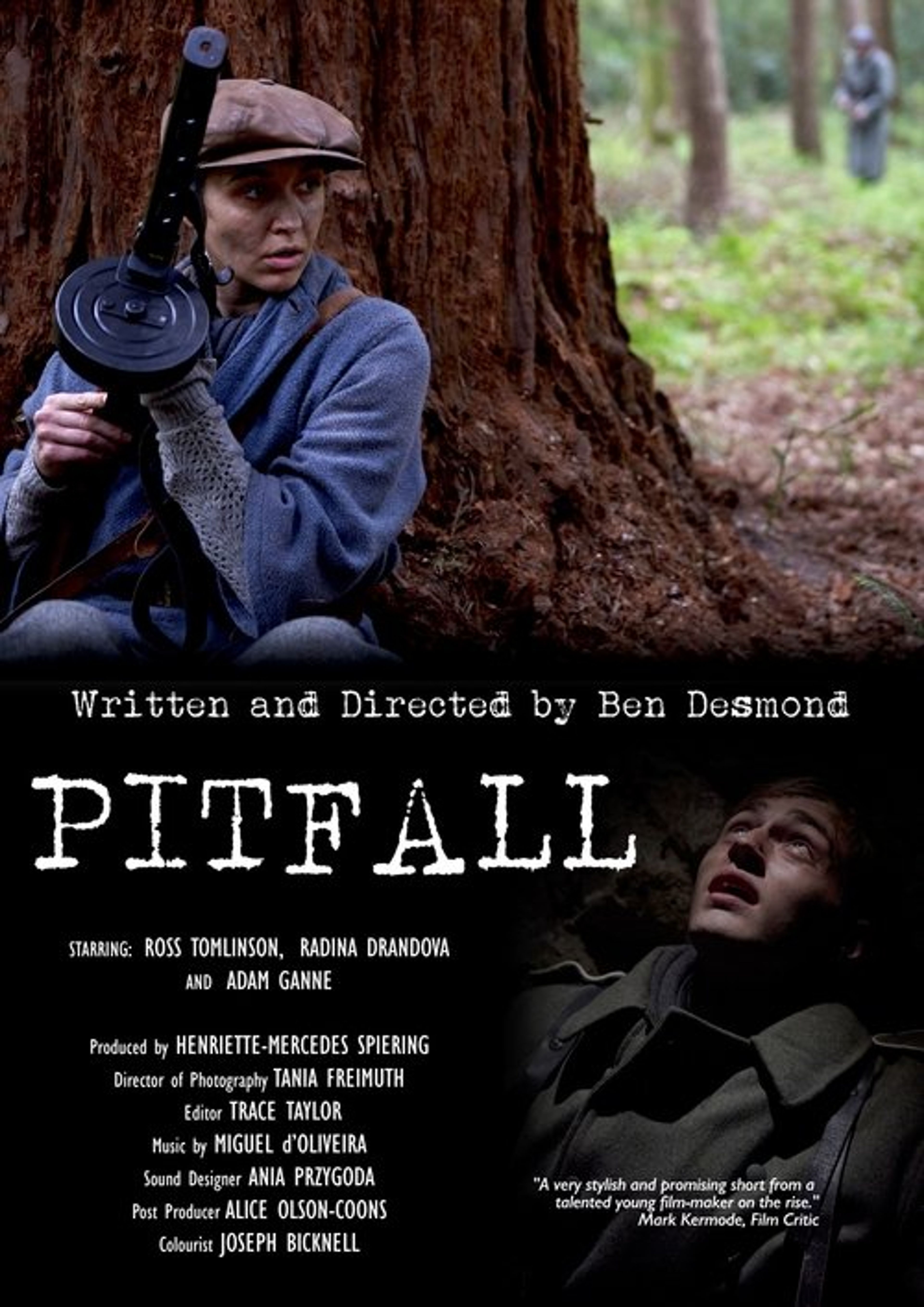 Poster image of PITFALL