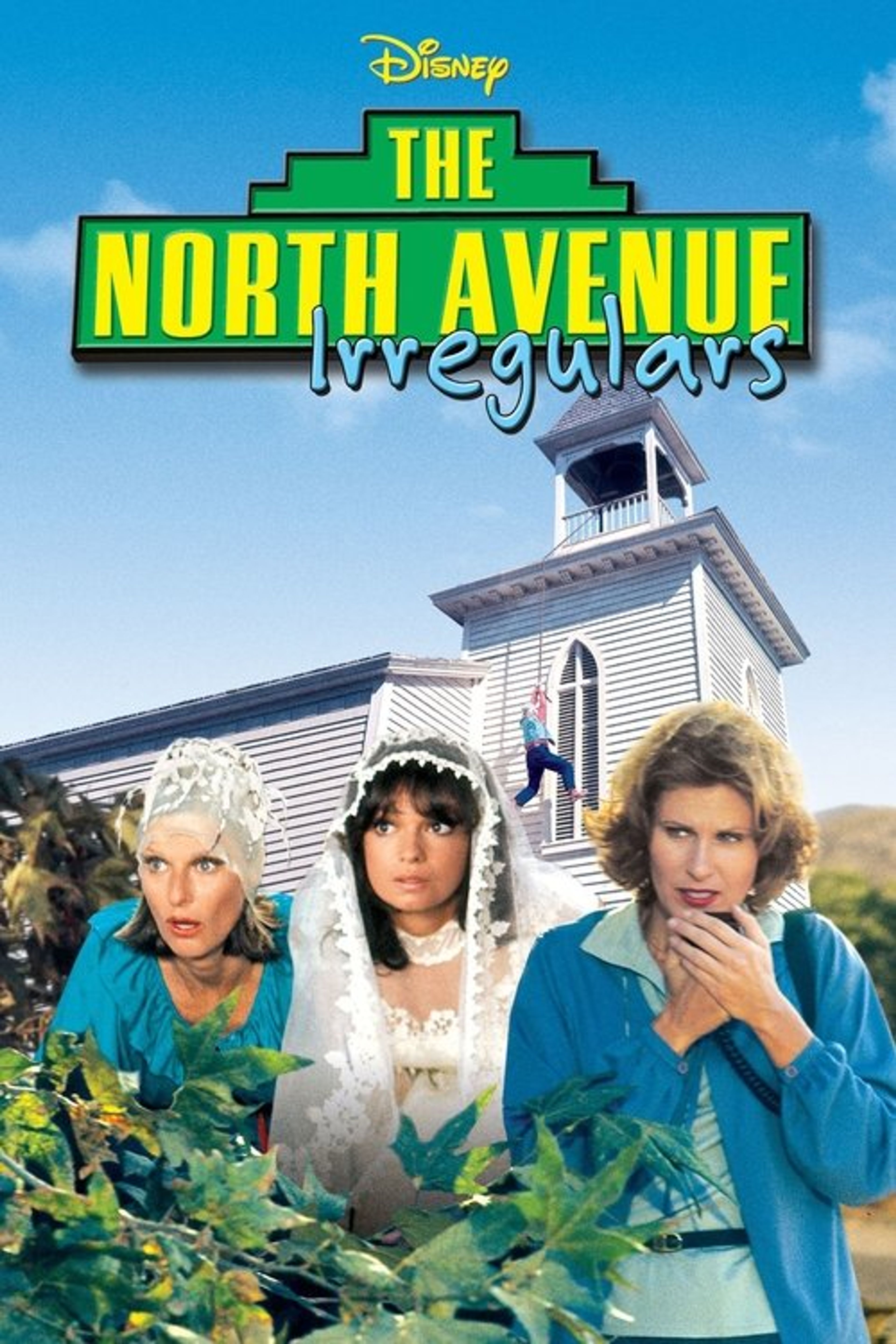 Poster image of The North Avenue Irregulars