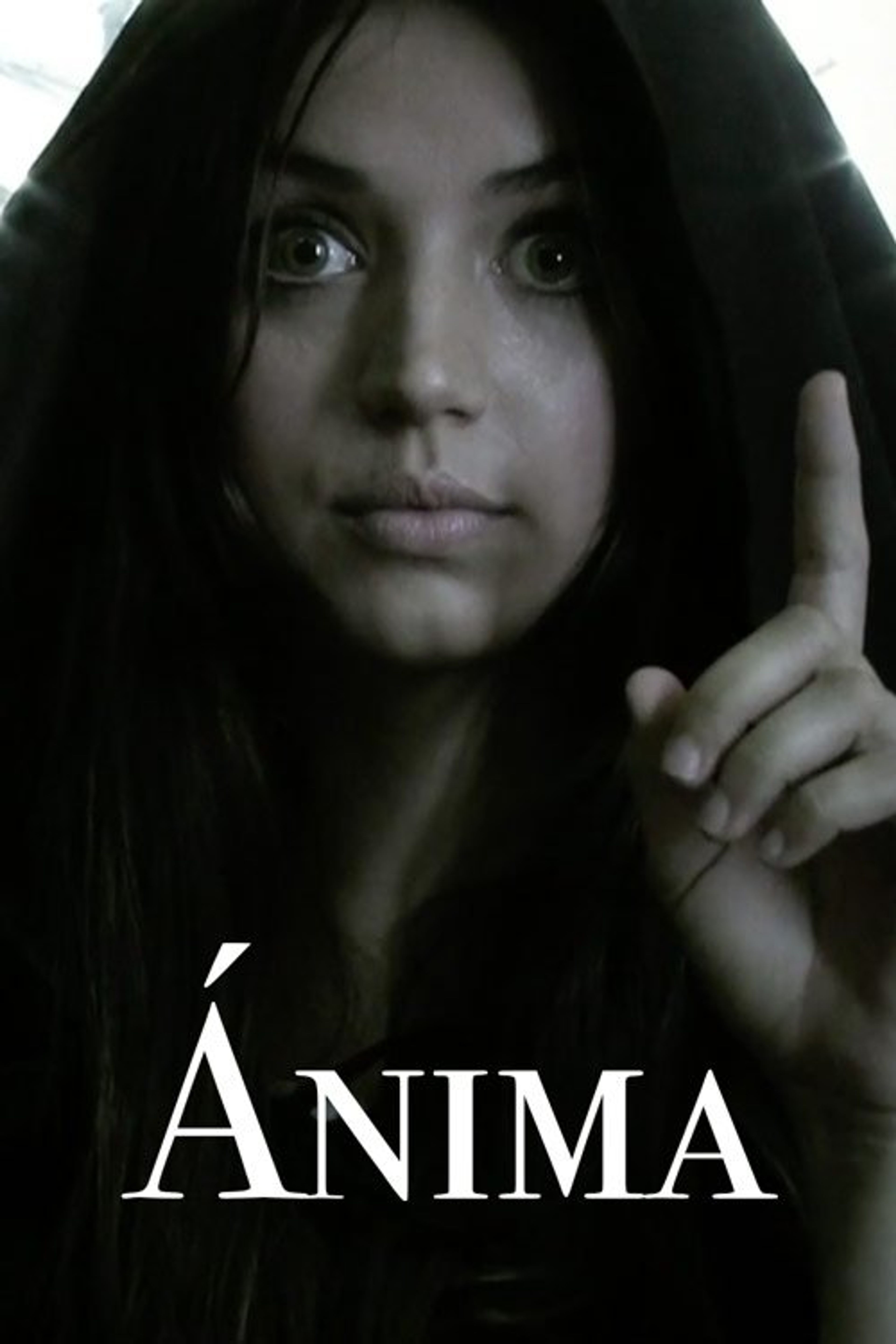 Poster image of Ánima