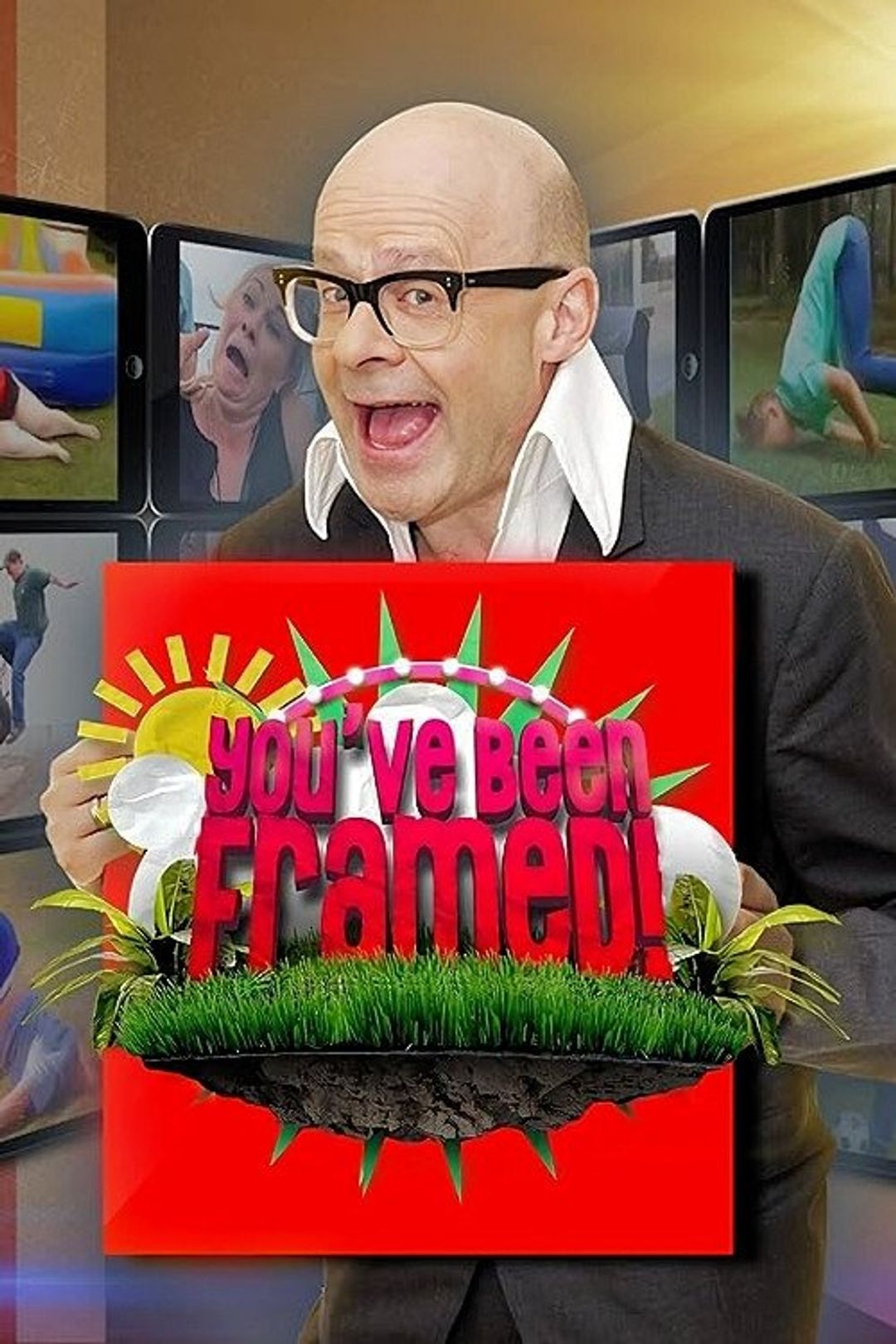 Poster image of You've Been Framed!