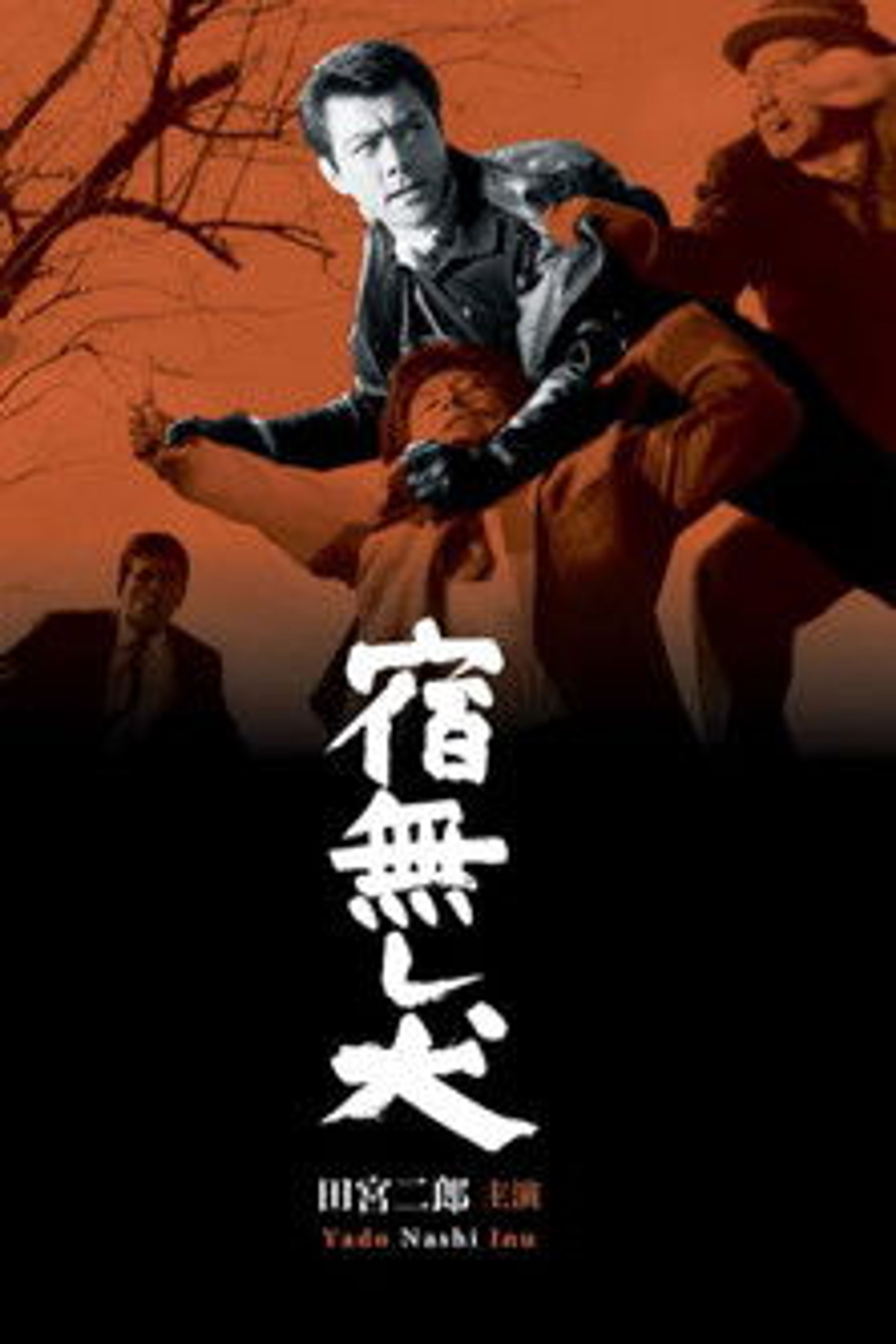 Poster image of Homeless Dog