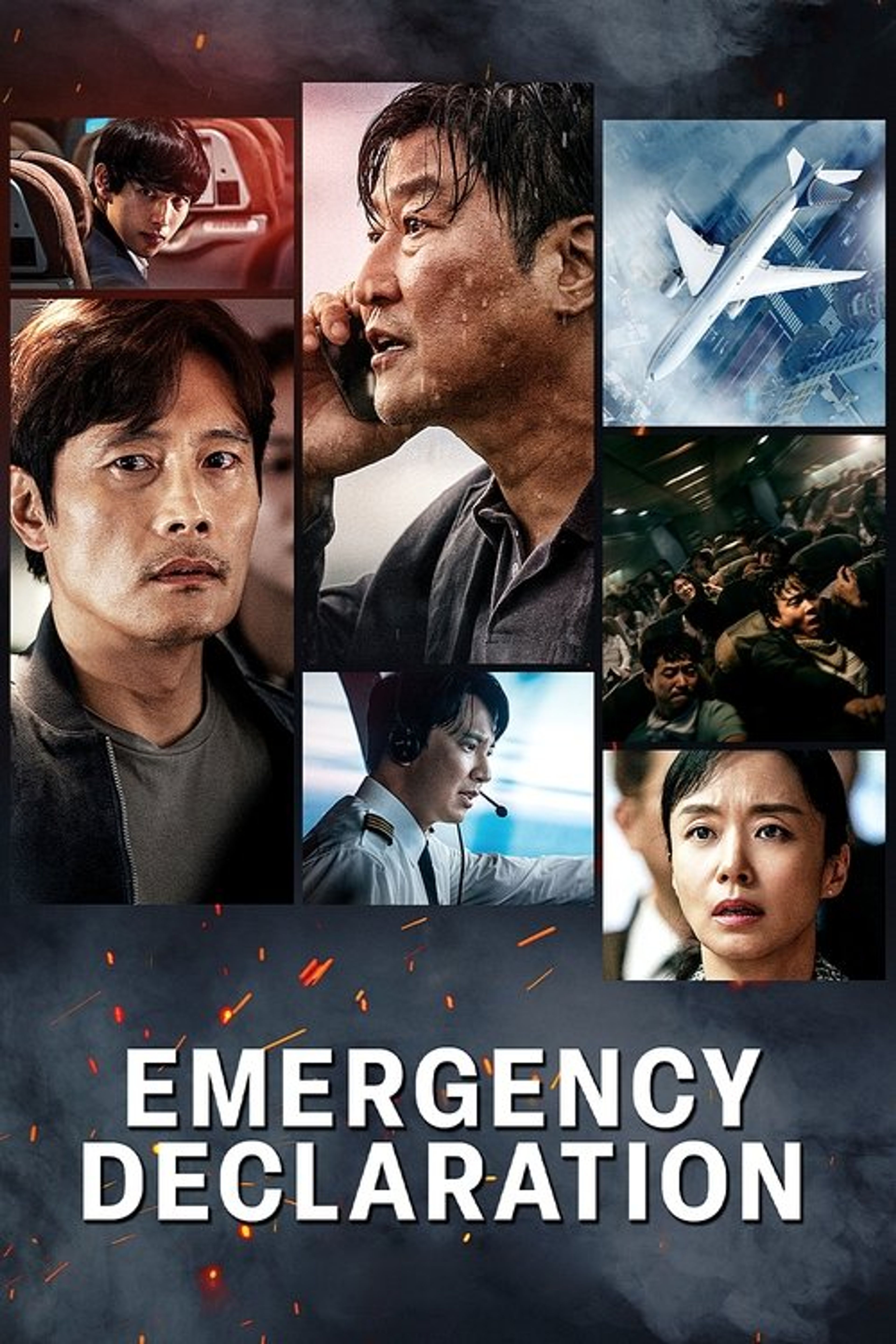 Poster image of Emergency Declaration