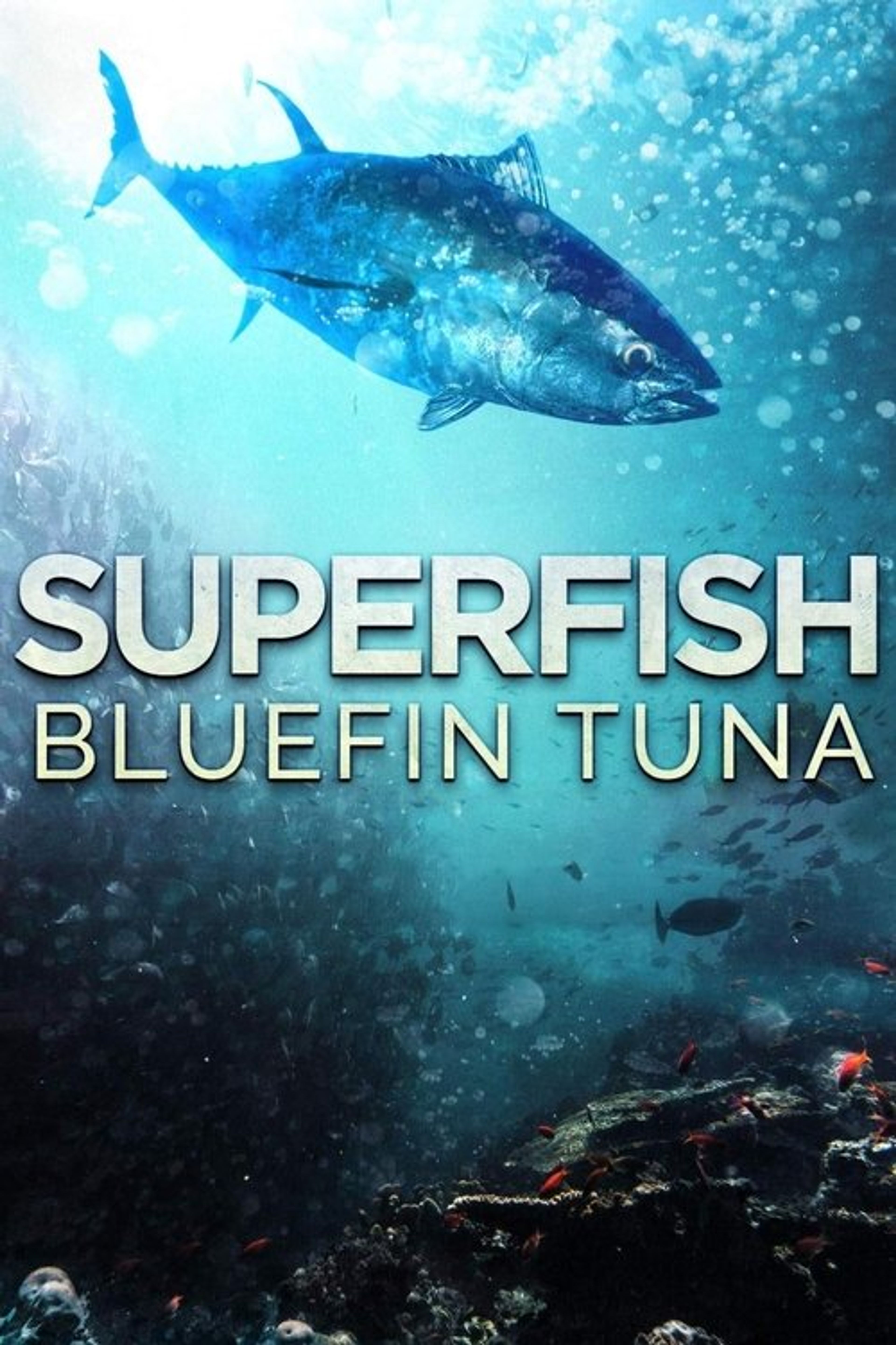 Poster image of Superfish: Bluefin Tuna