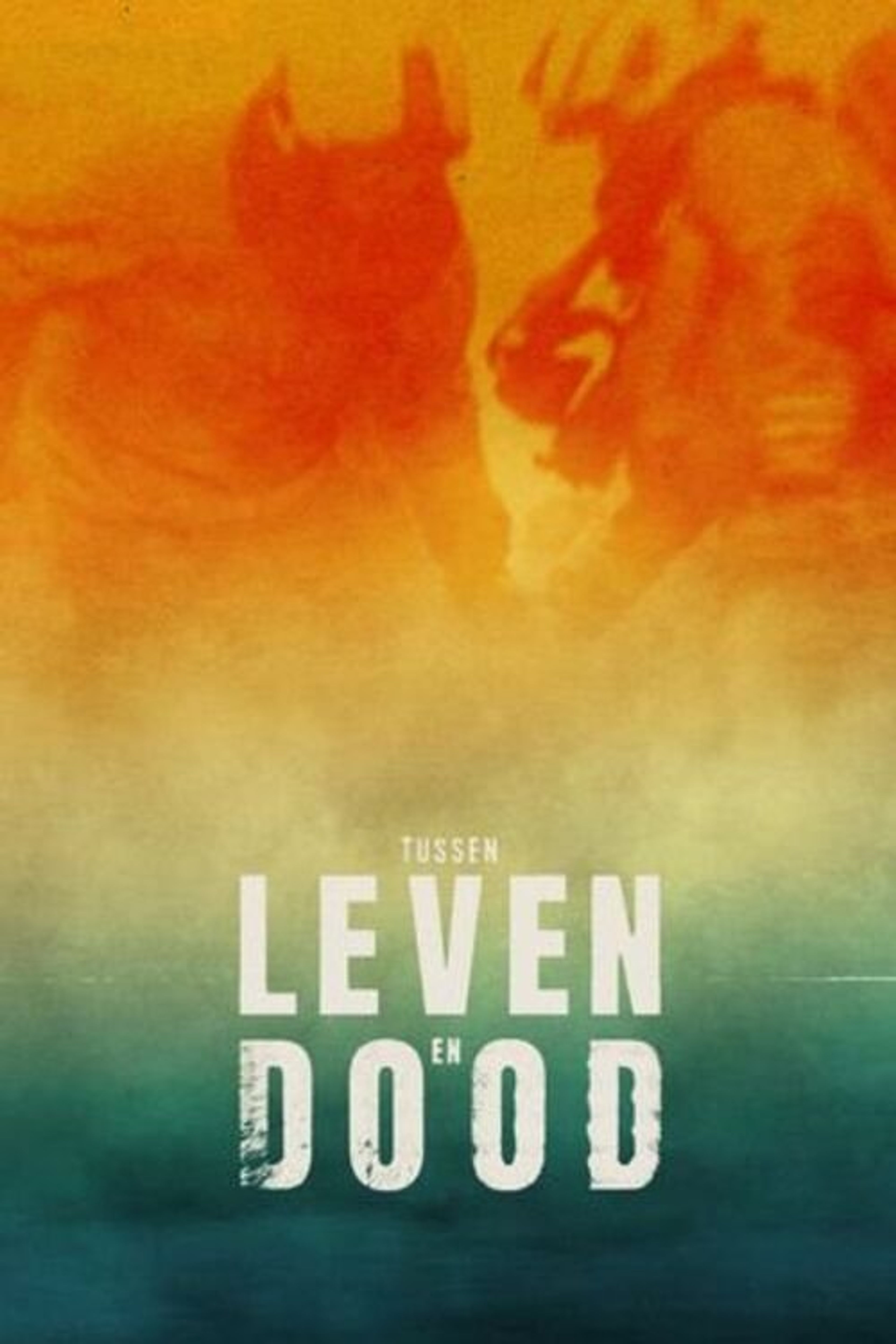 Poster image of Tussen Leven en Dood
