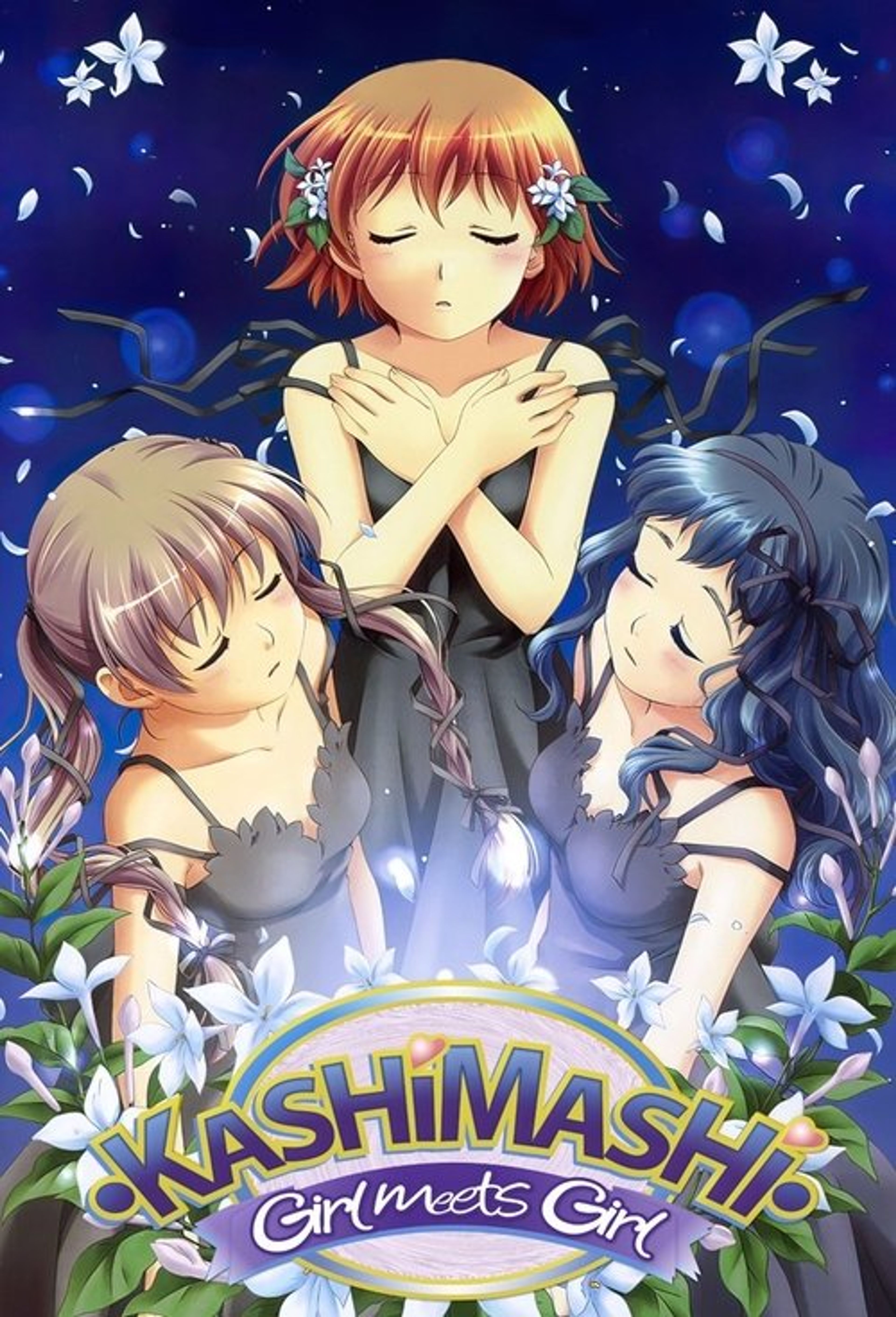 Poster image of Kashimashi - Girl Meets Girl