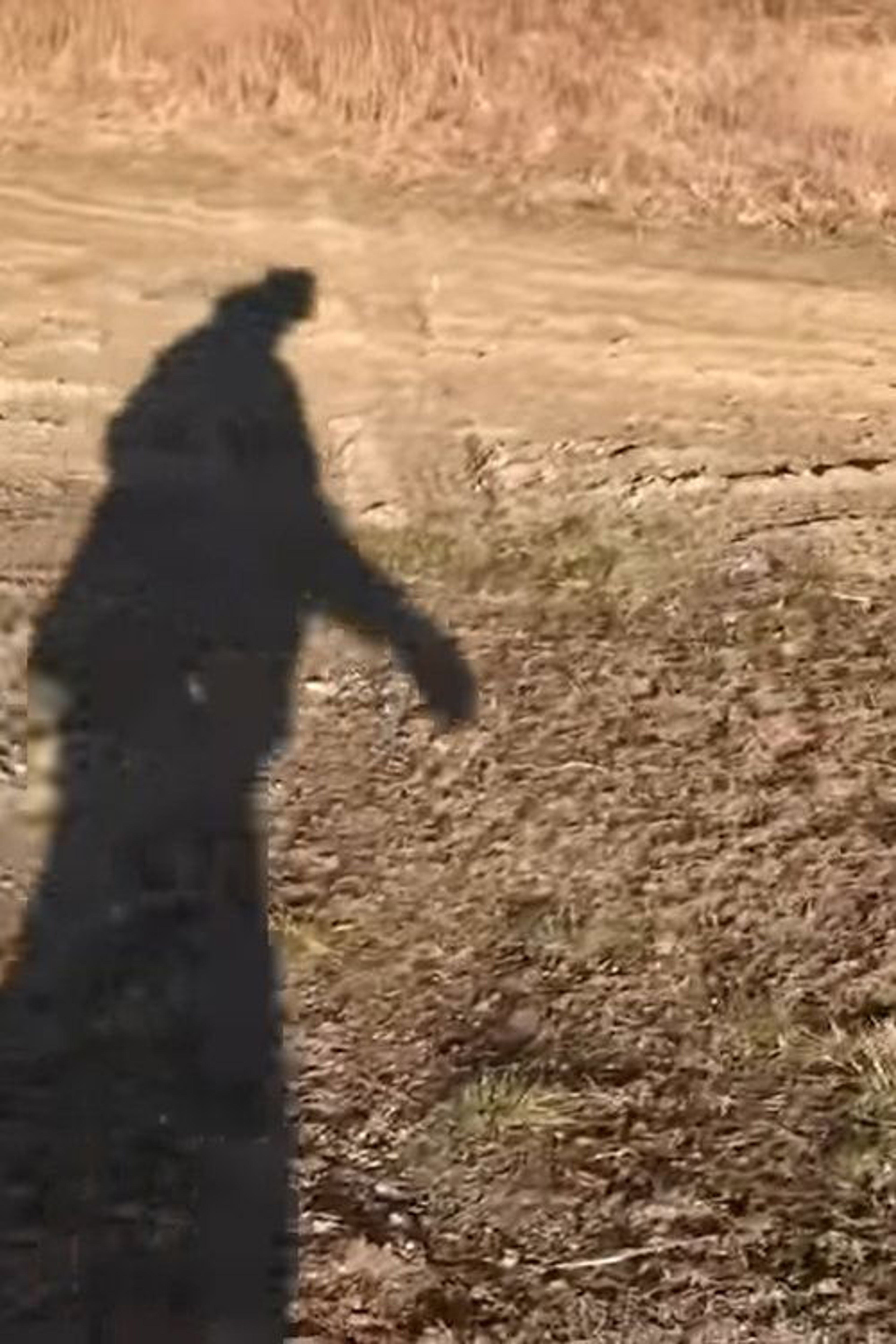 Poster image of Be Absolute for Death