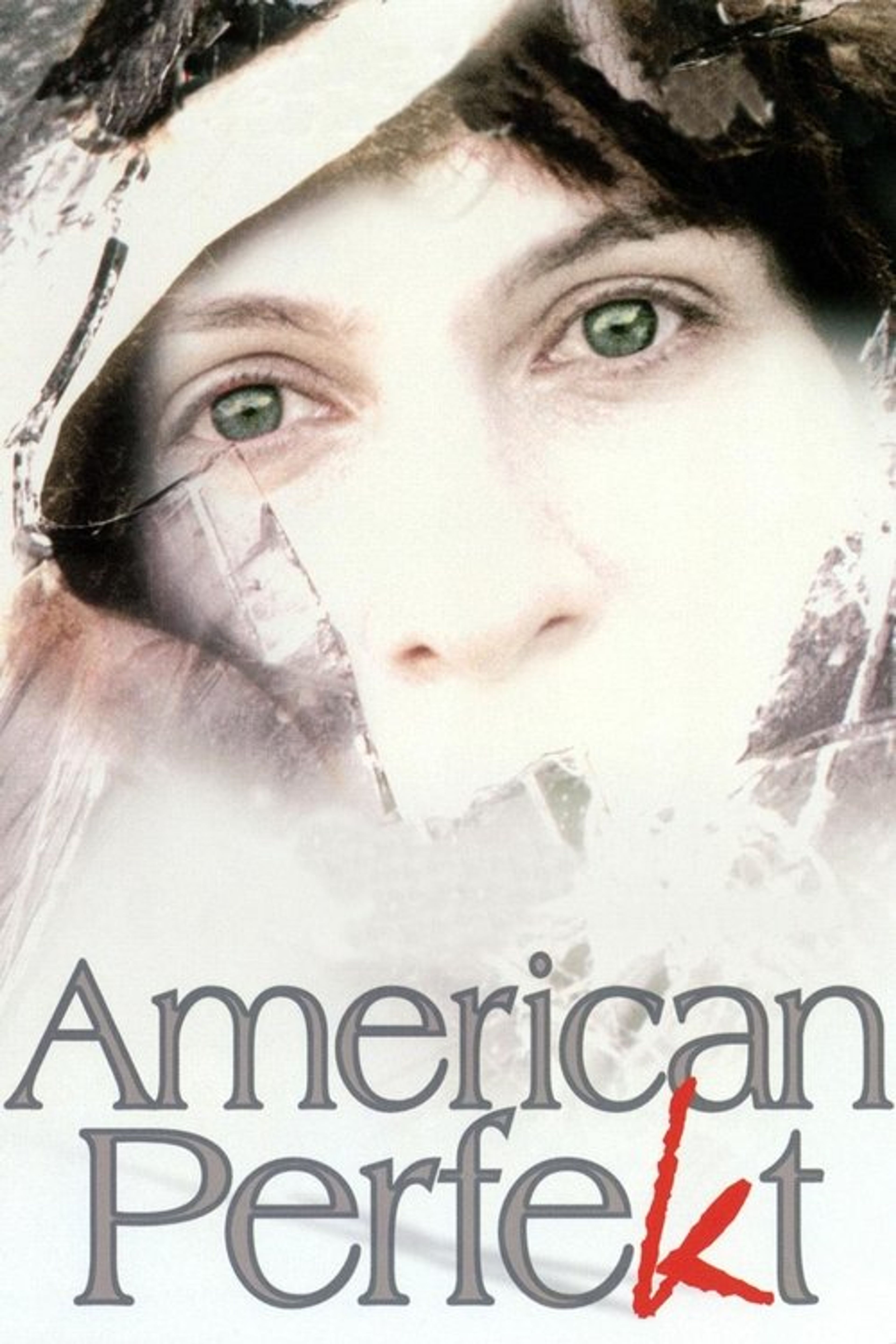 Poster image of American Perfekt
