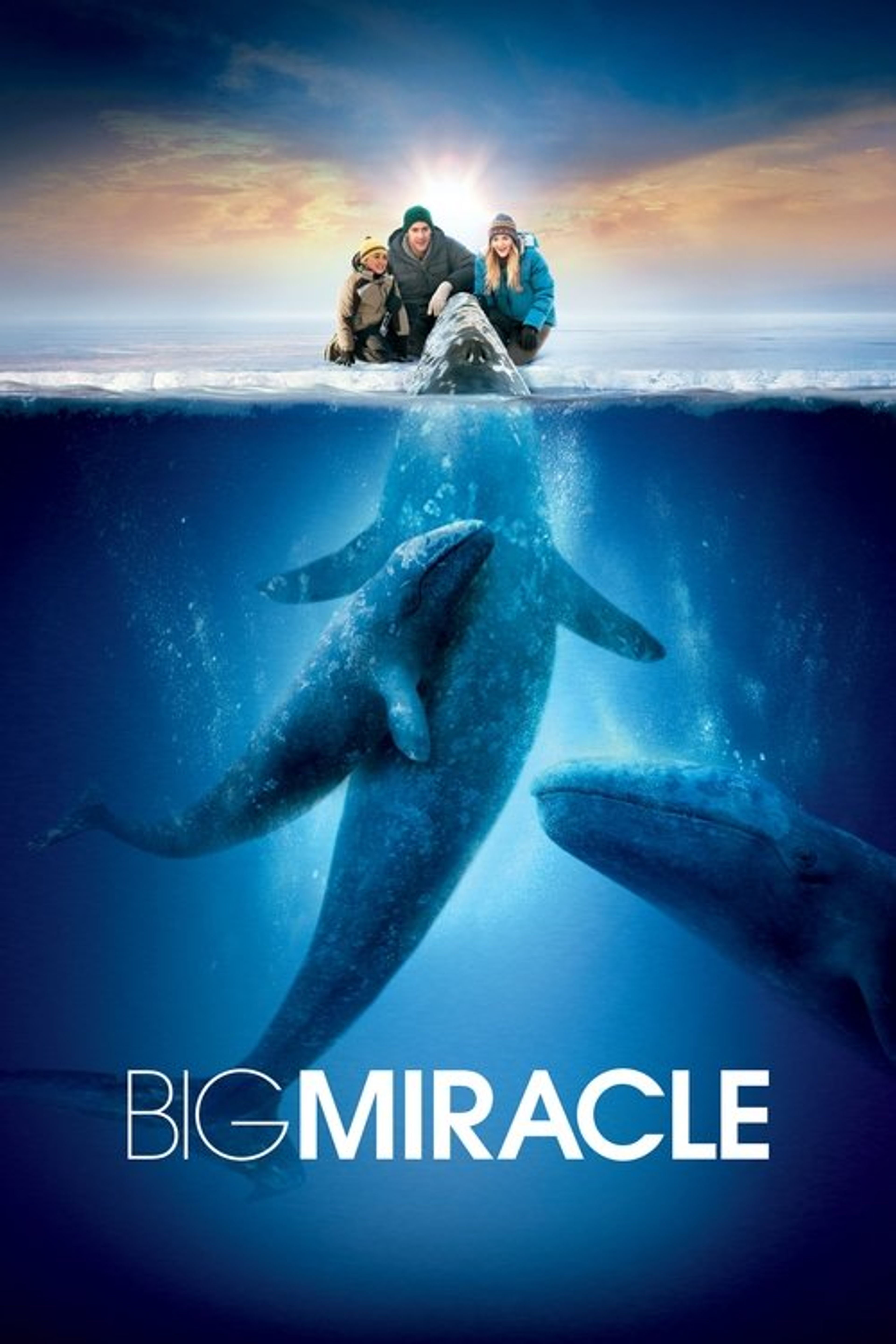 Poster image of Big Miracle