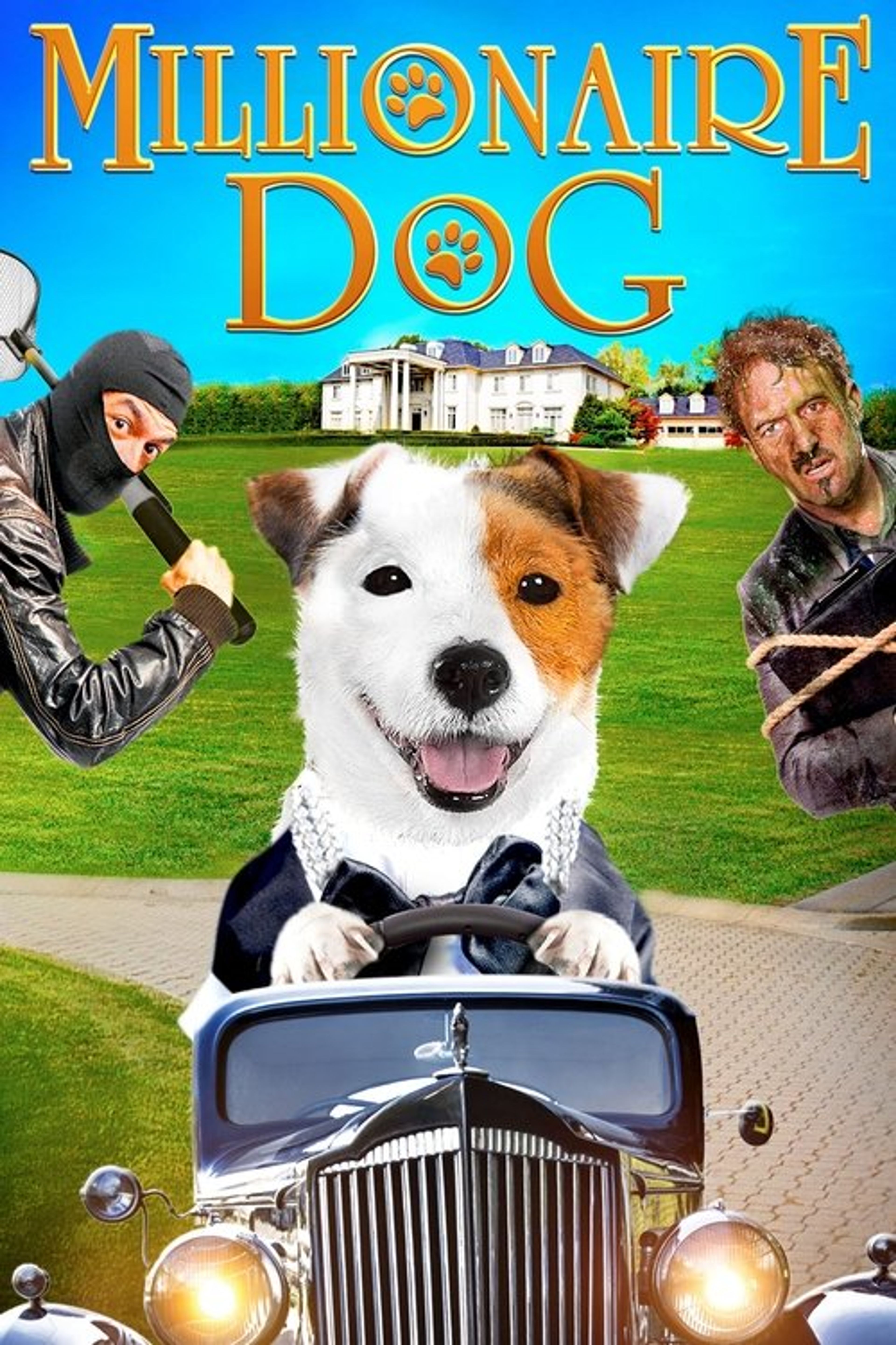 Poster image of Millionaire Dog