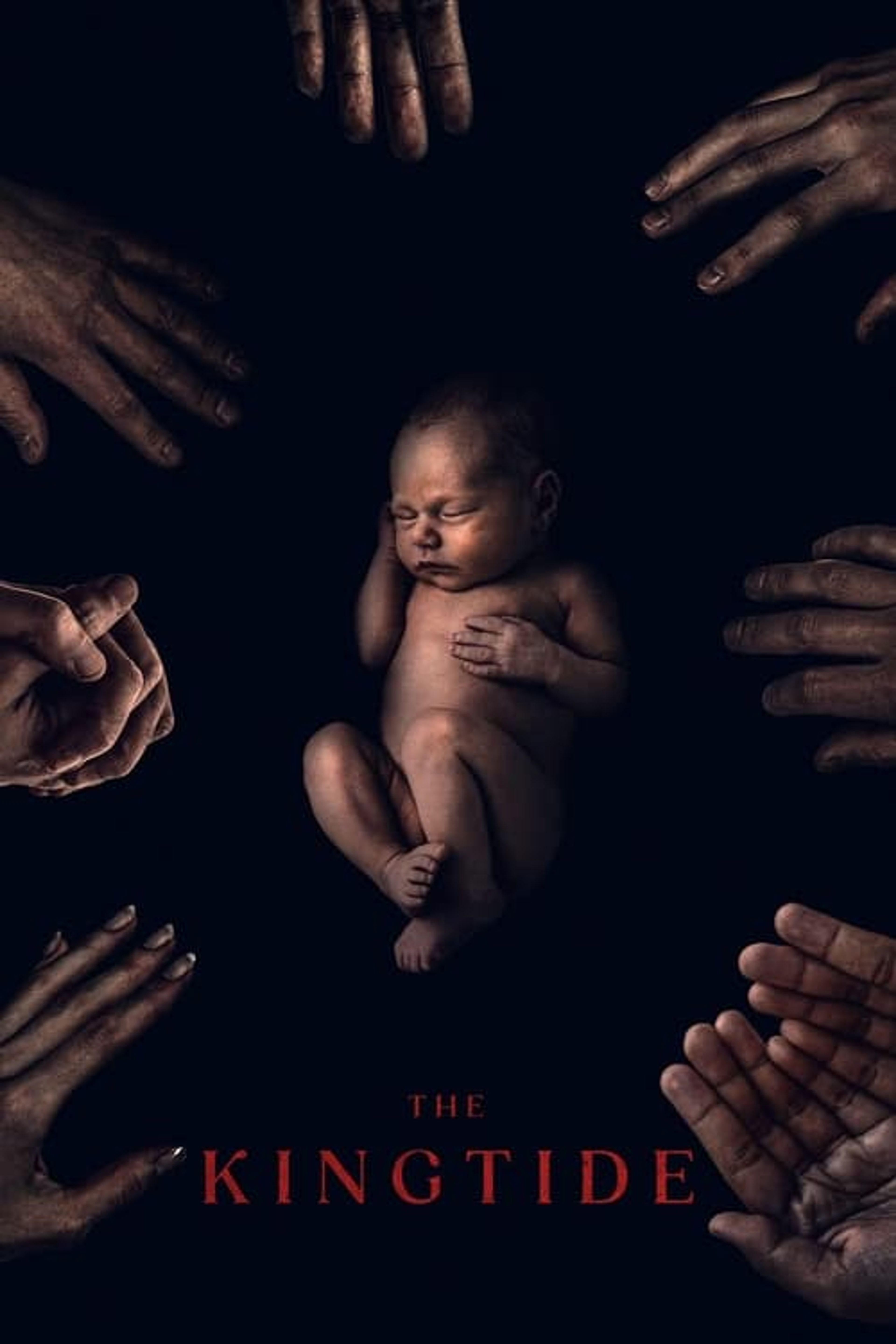 Poster image of The King Tide