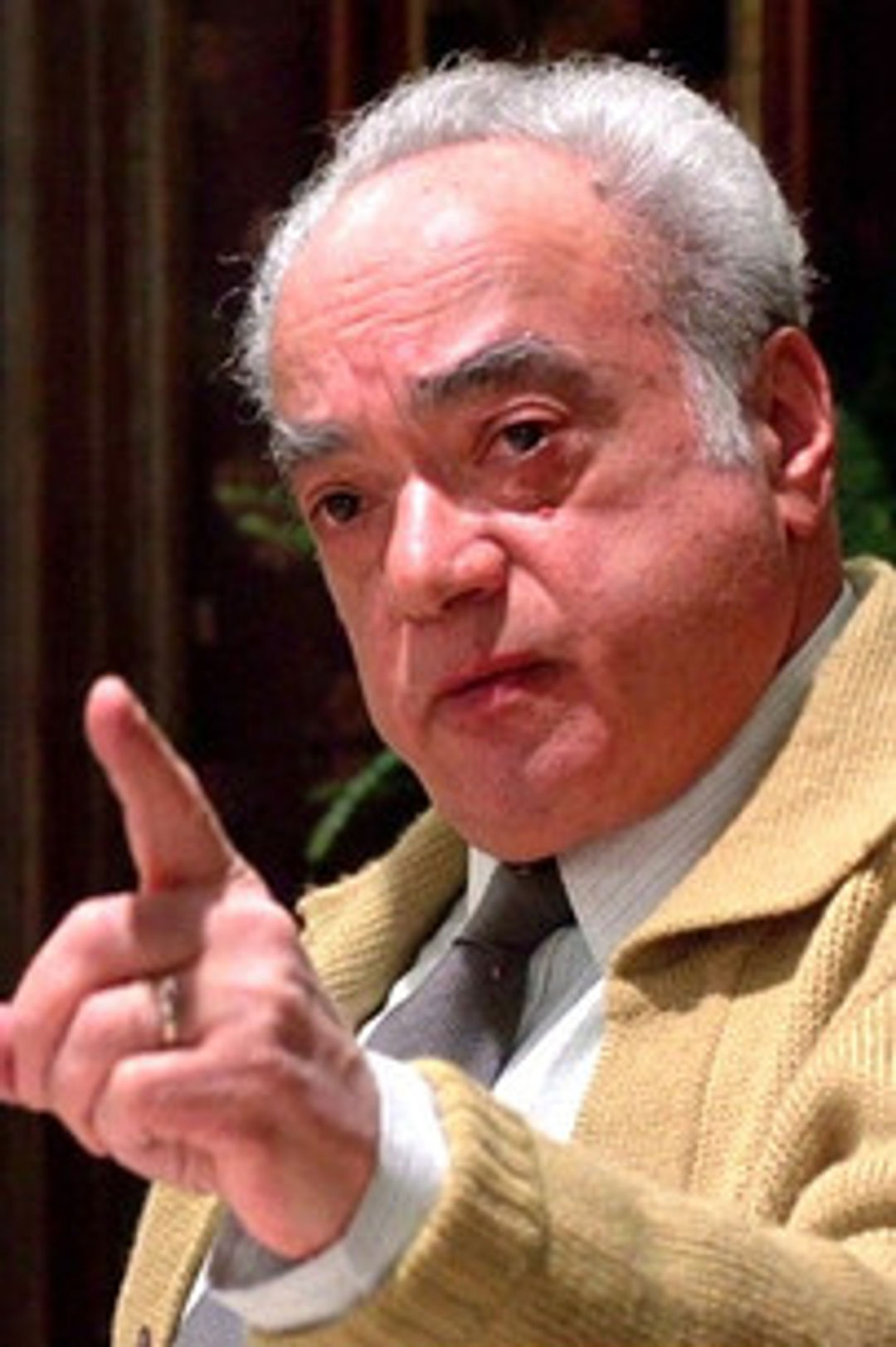 Profile image of Louis Guss