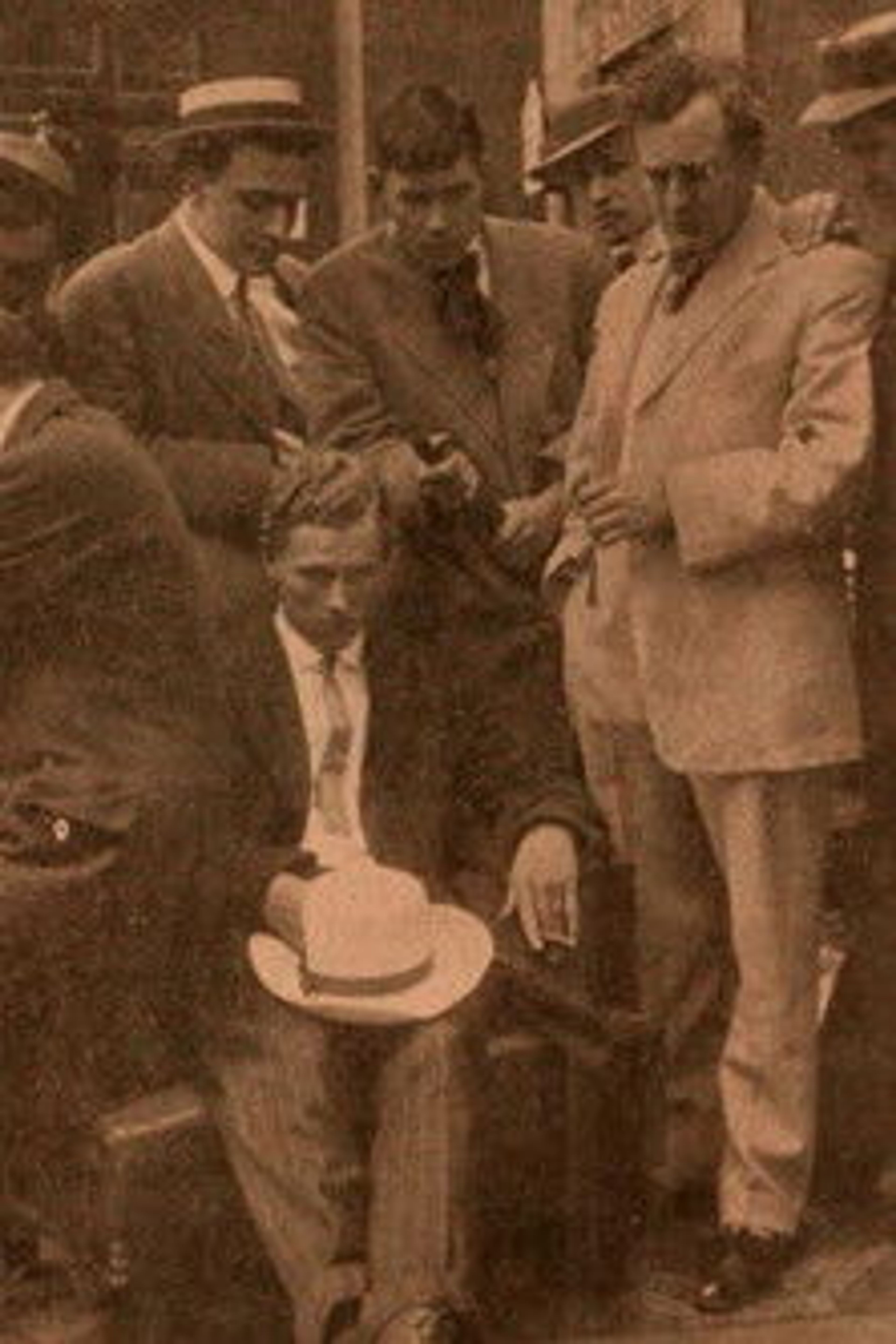 Poster image of Rose Leaves