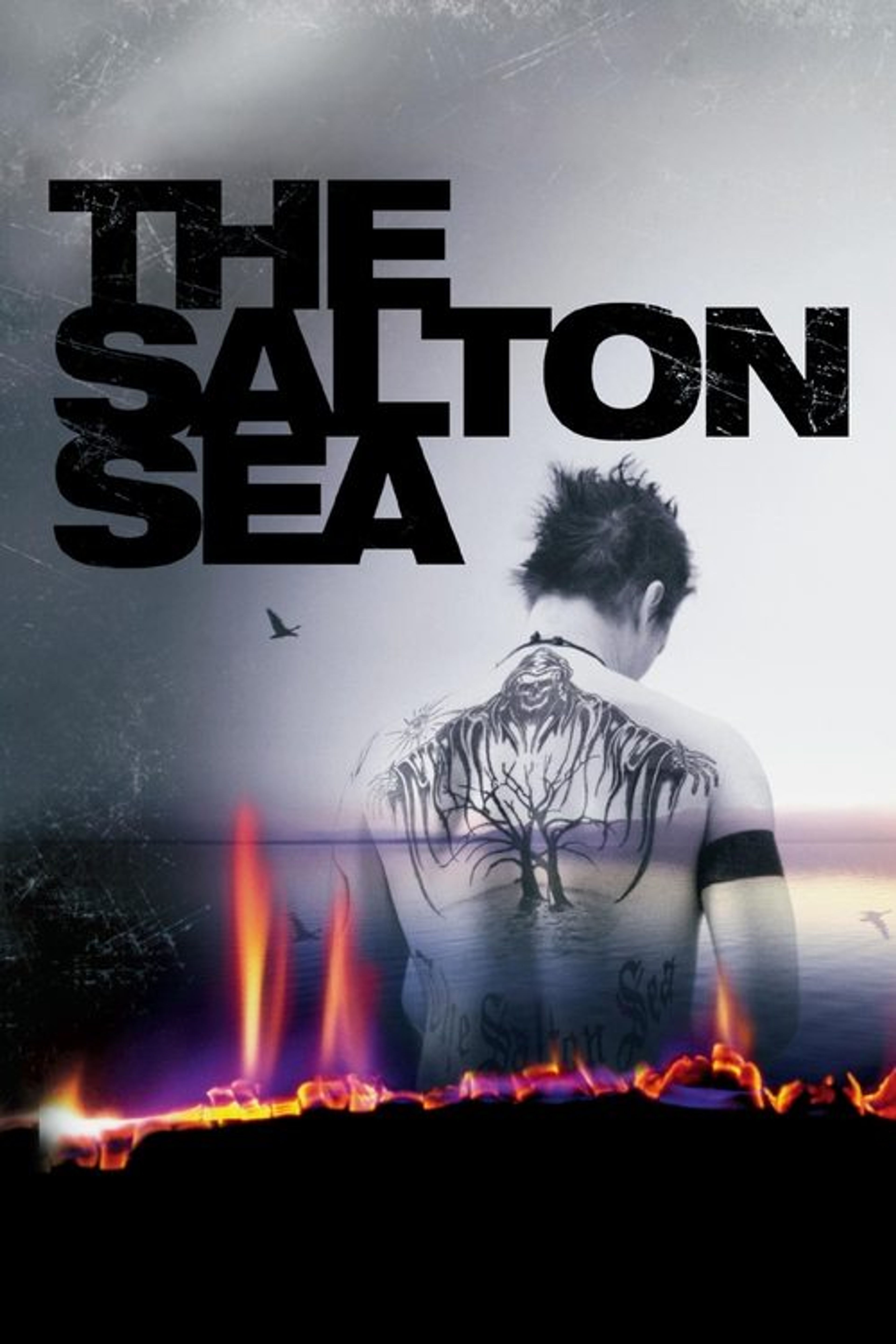 Poster image of The Salton Sea