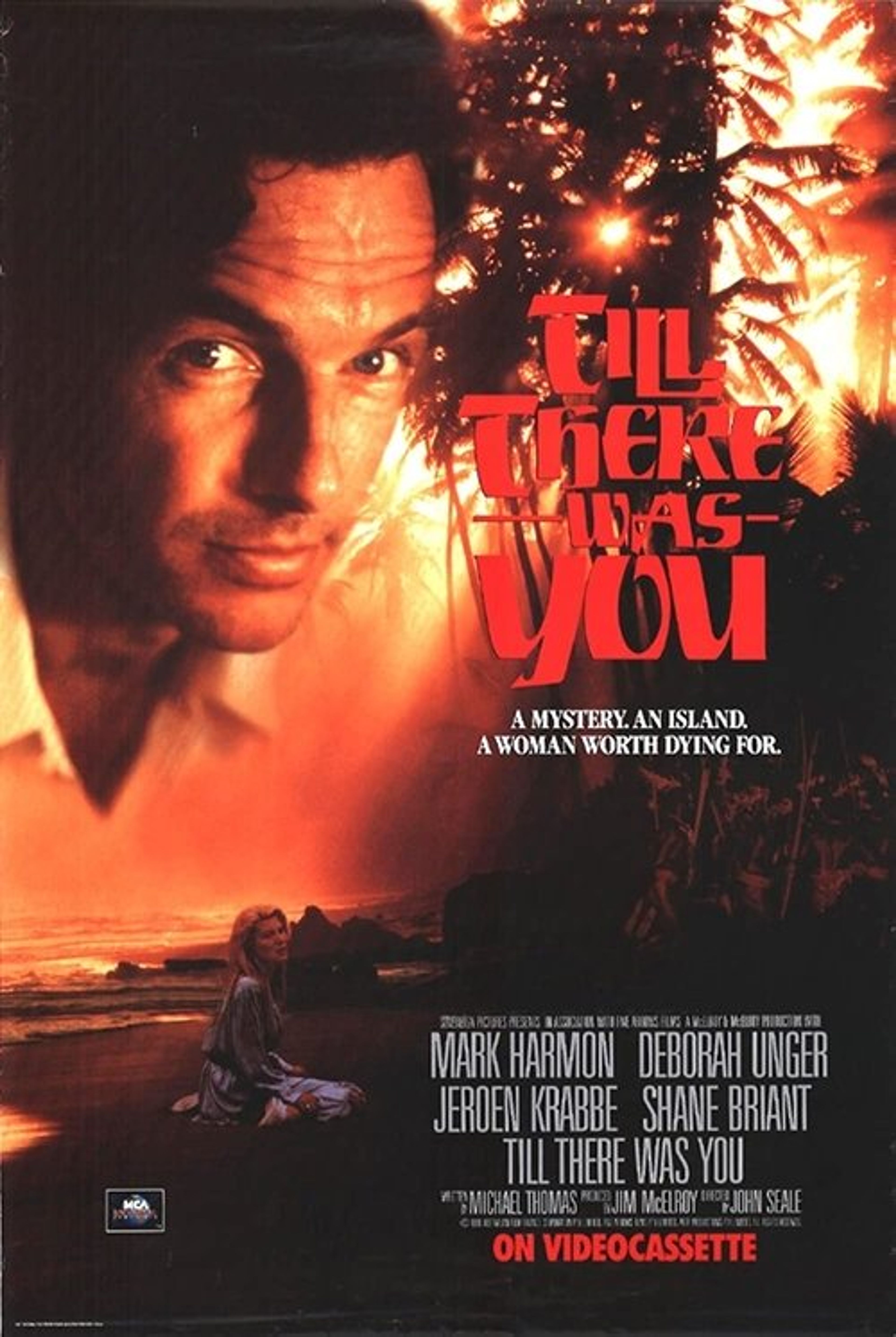 Poster image of Till There Was You