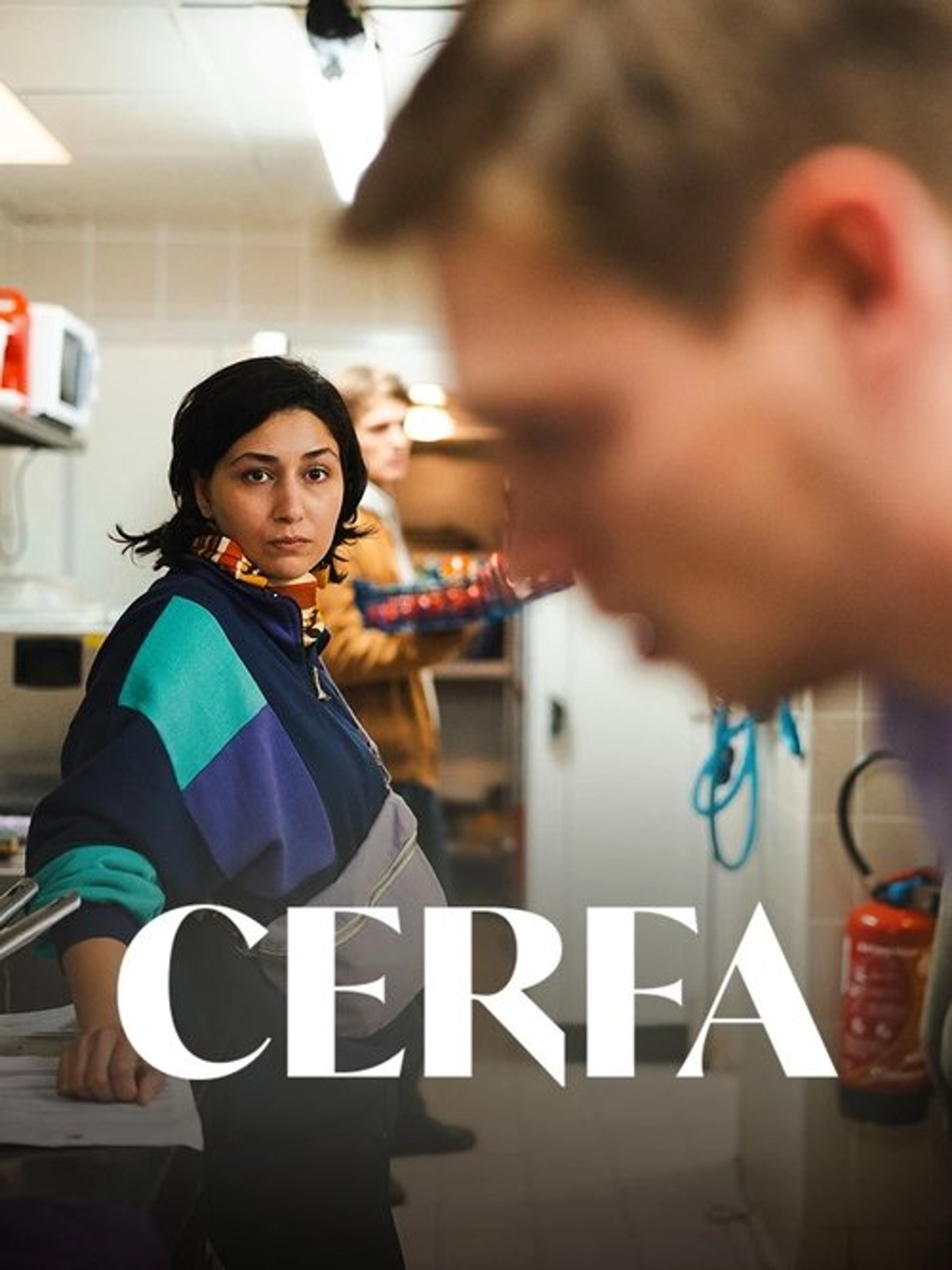 Poster image of Cerfa