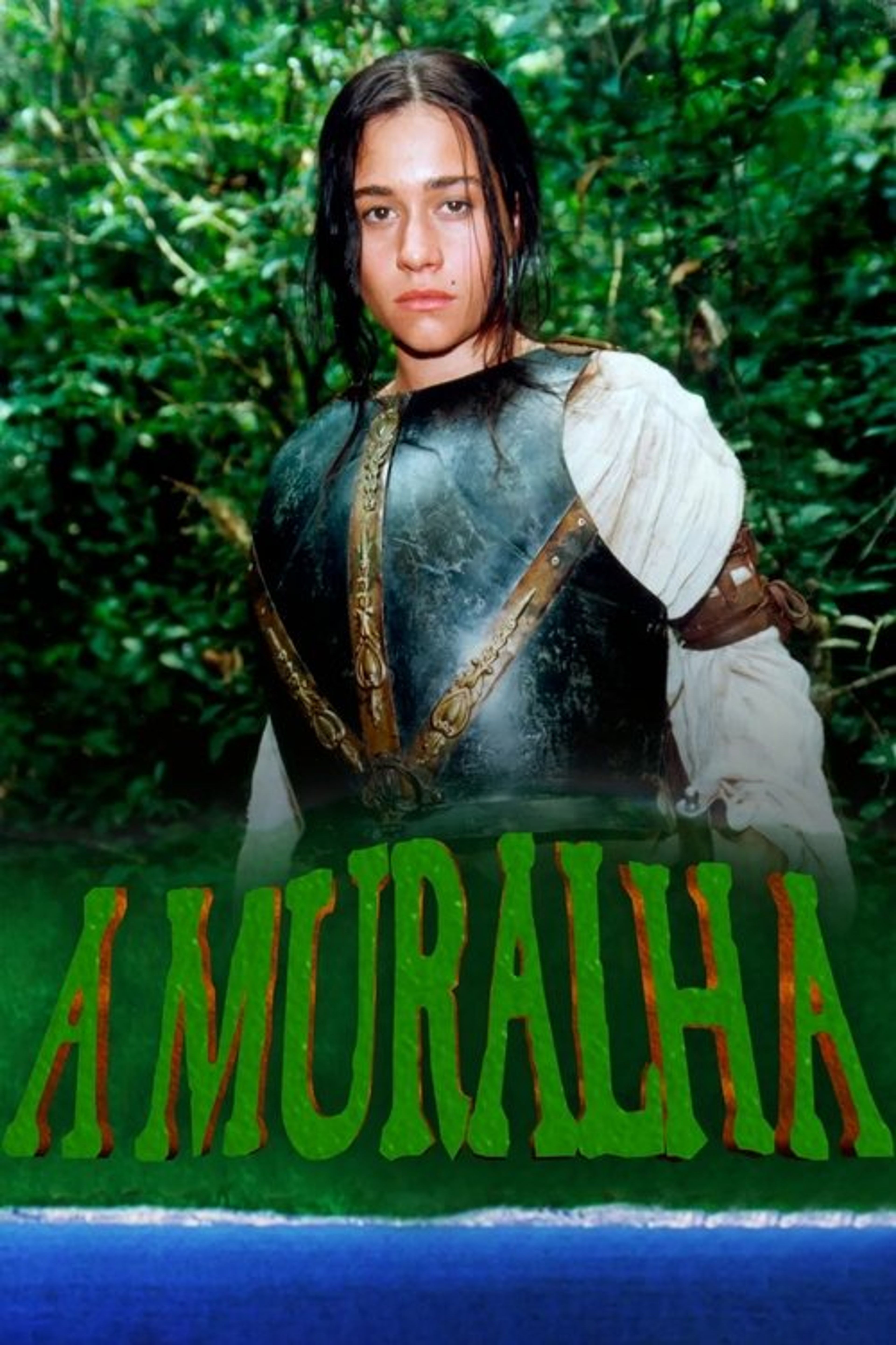 Poster image of A Muralha