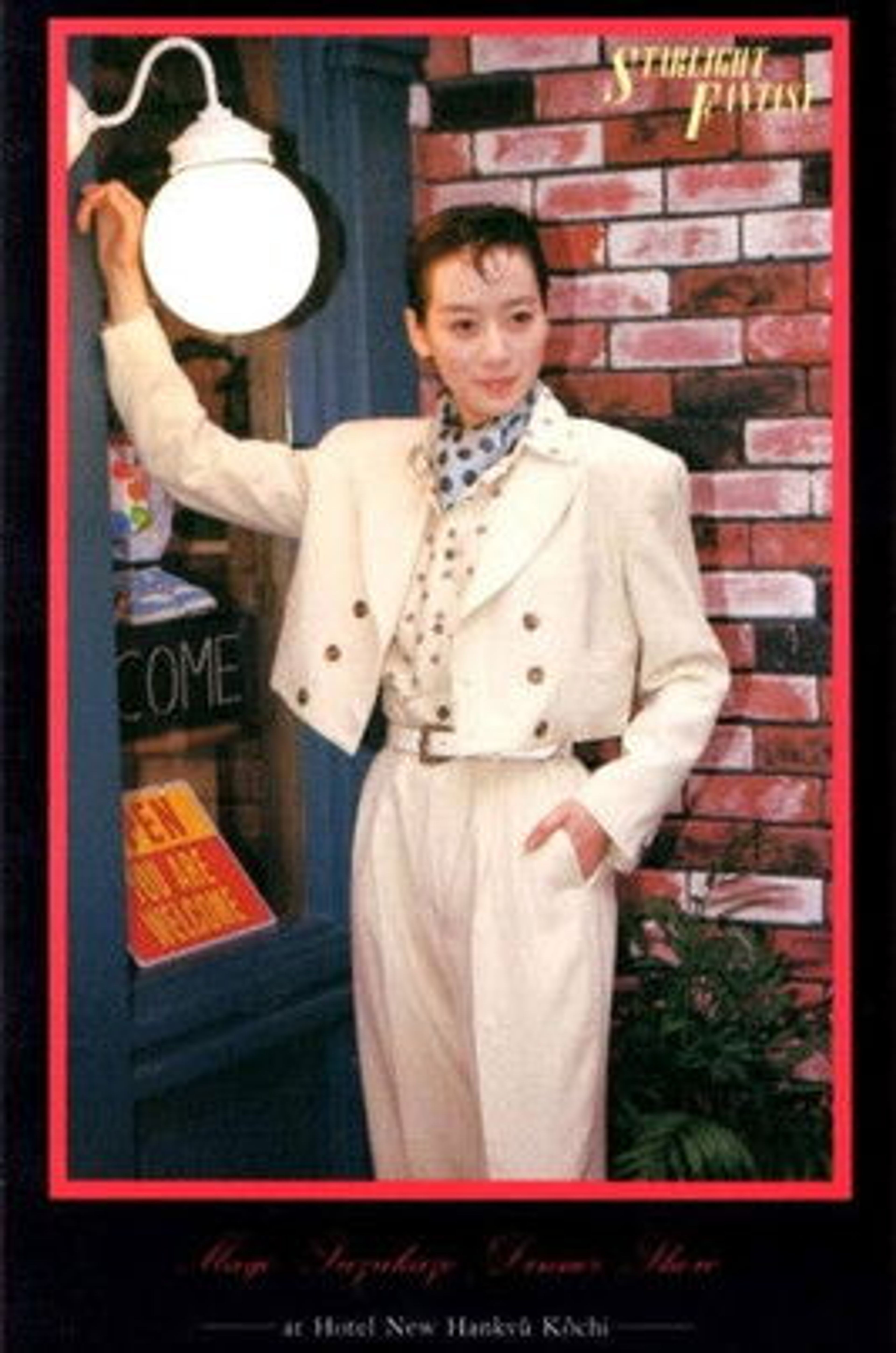 Poster image of Starlight Fantasy