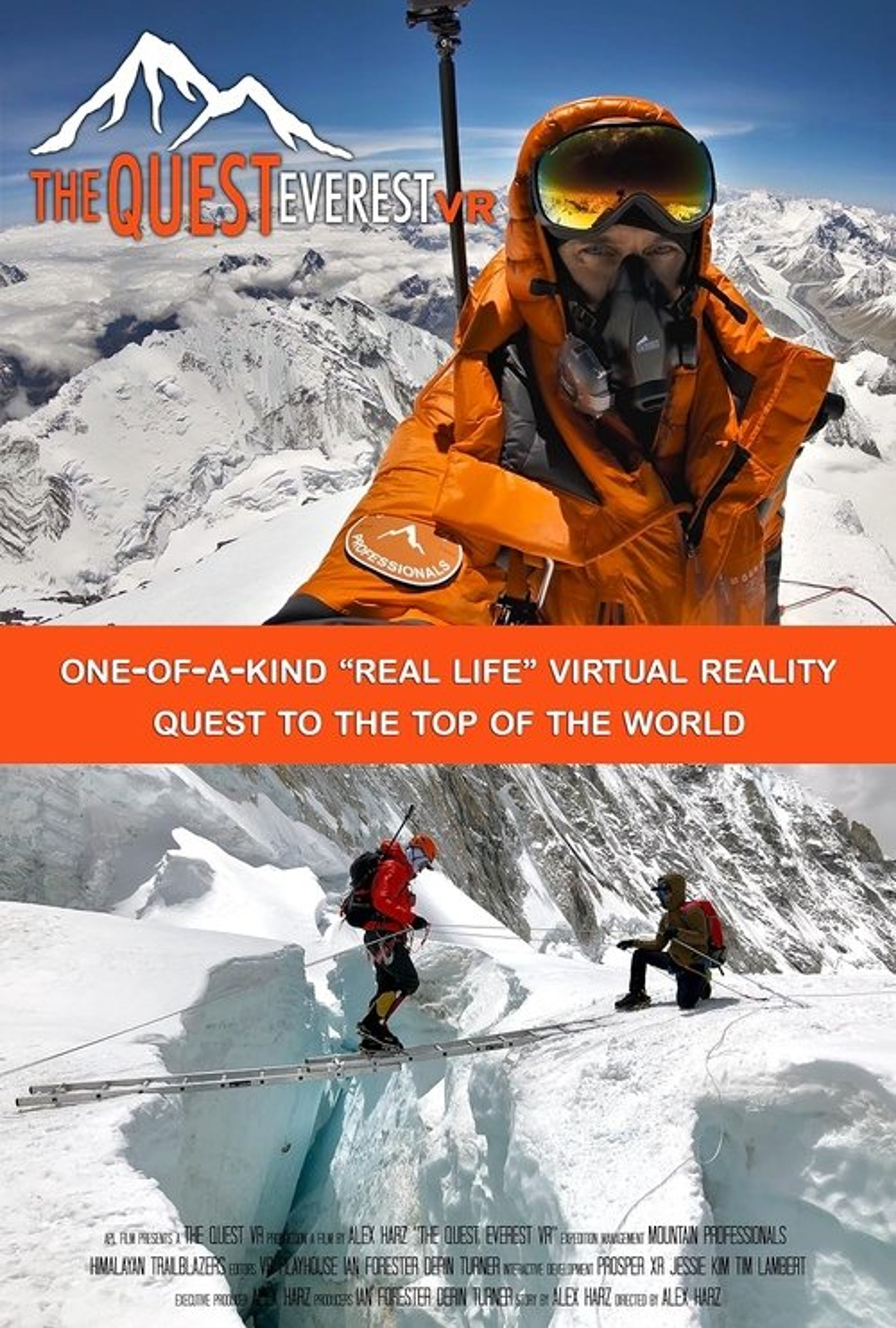 Poster image of THE QUEST: Everest VR