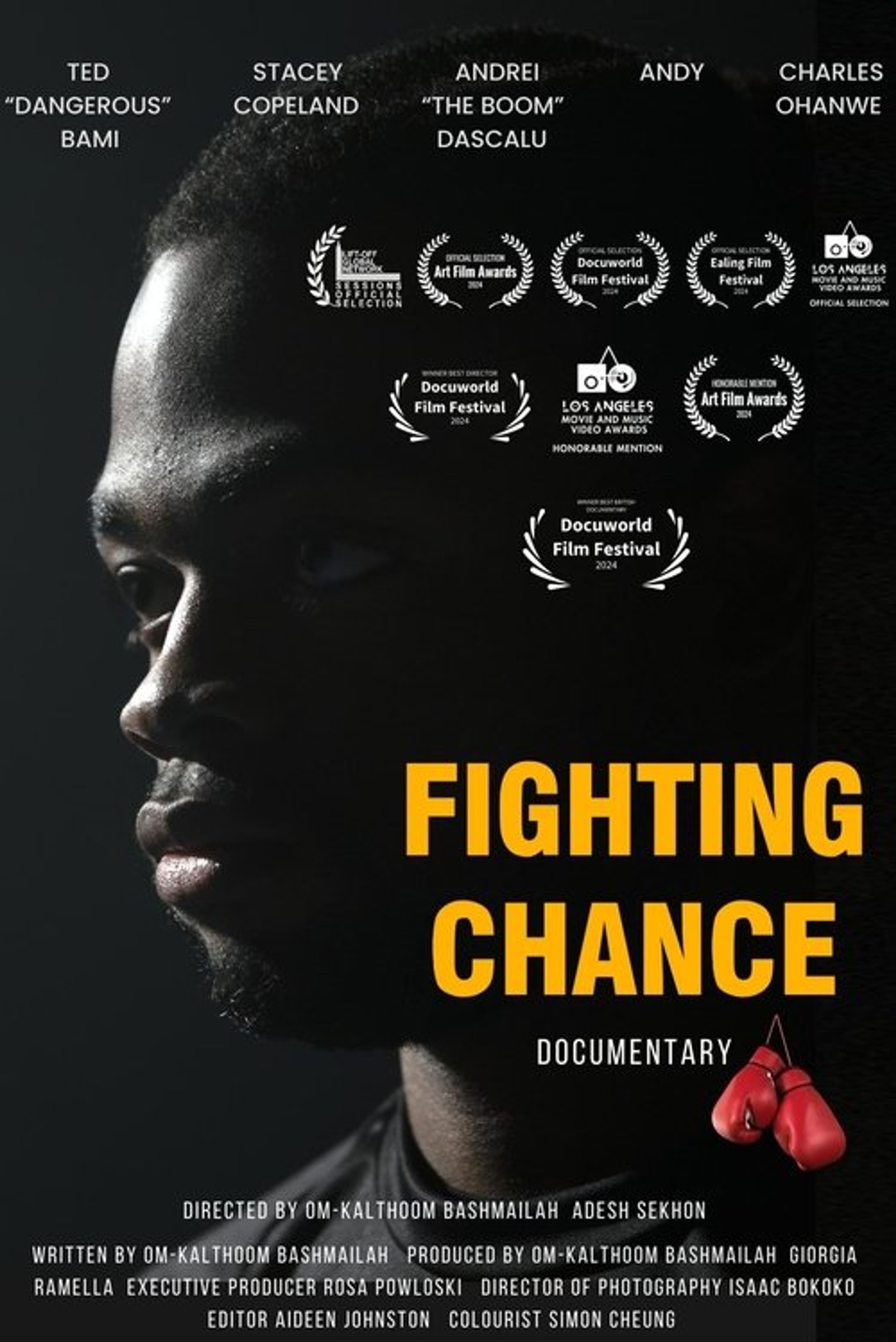 Poster image of Fighting Chance