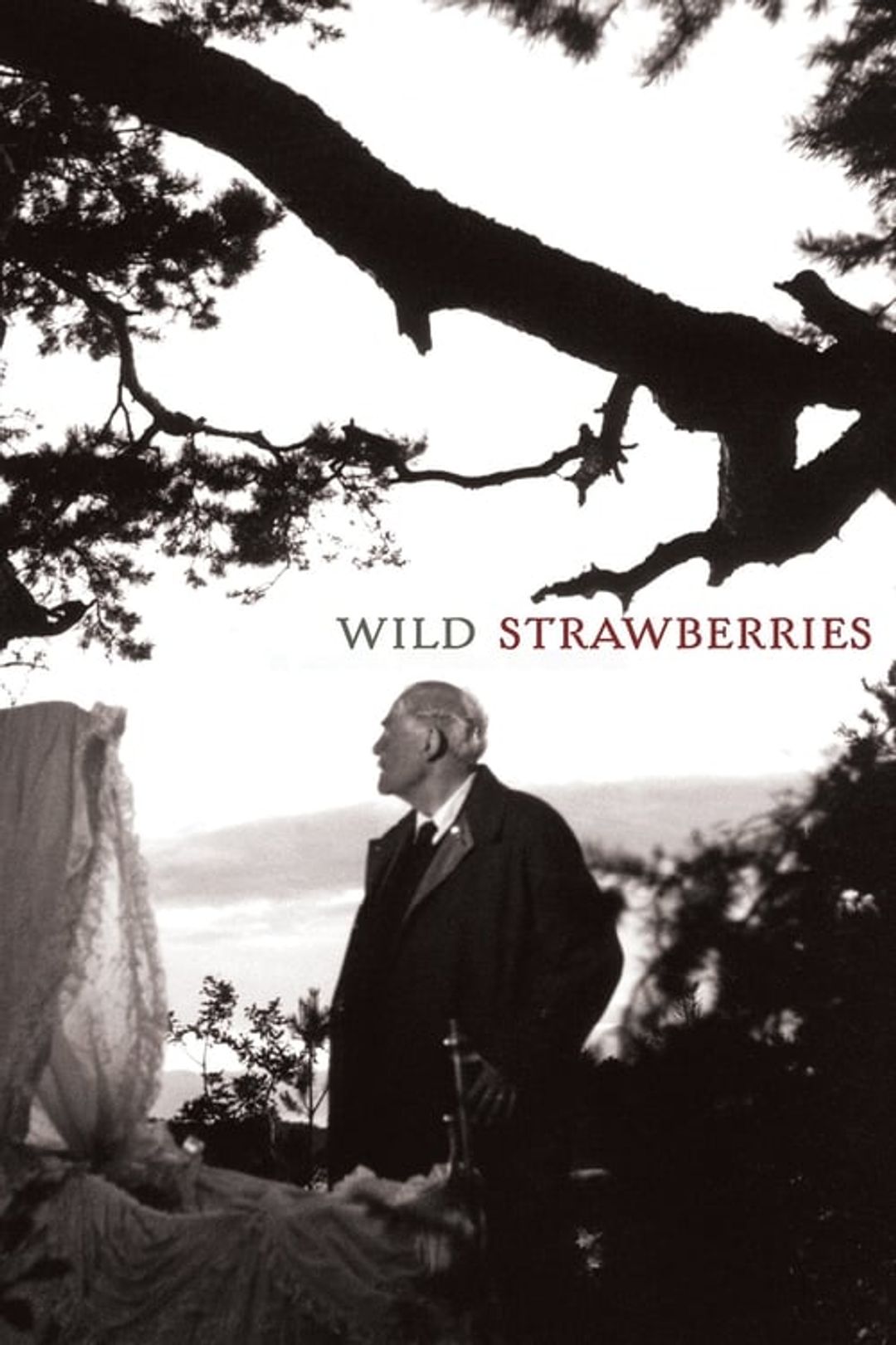 Poster image of Wild Strawberries