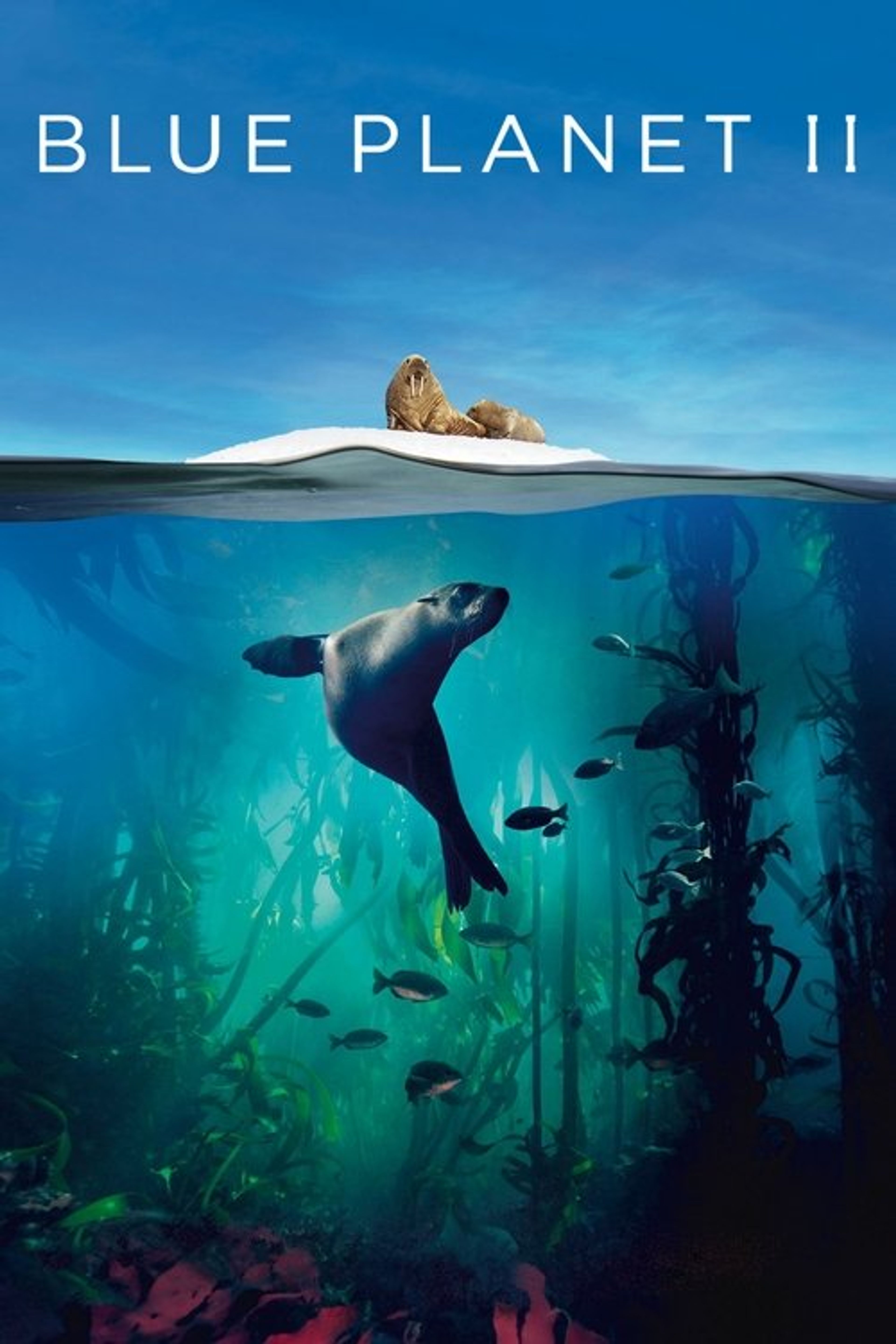 Poster image of Blue Planet II