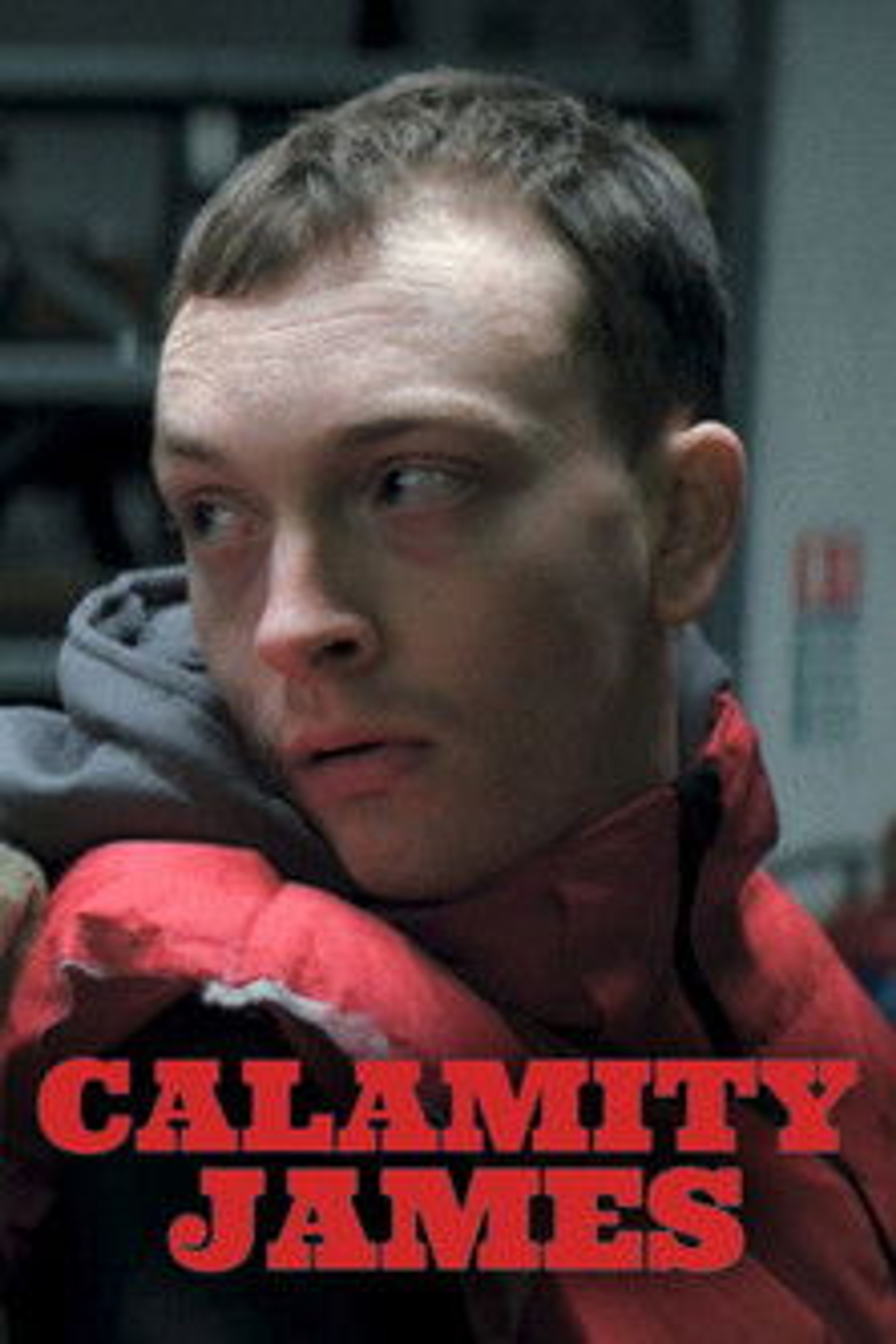 Poster image of Calamity James