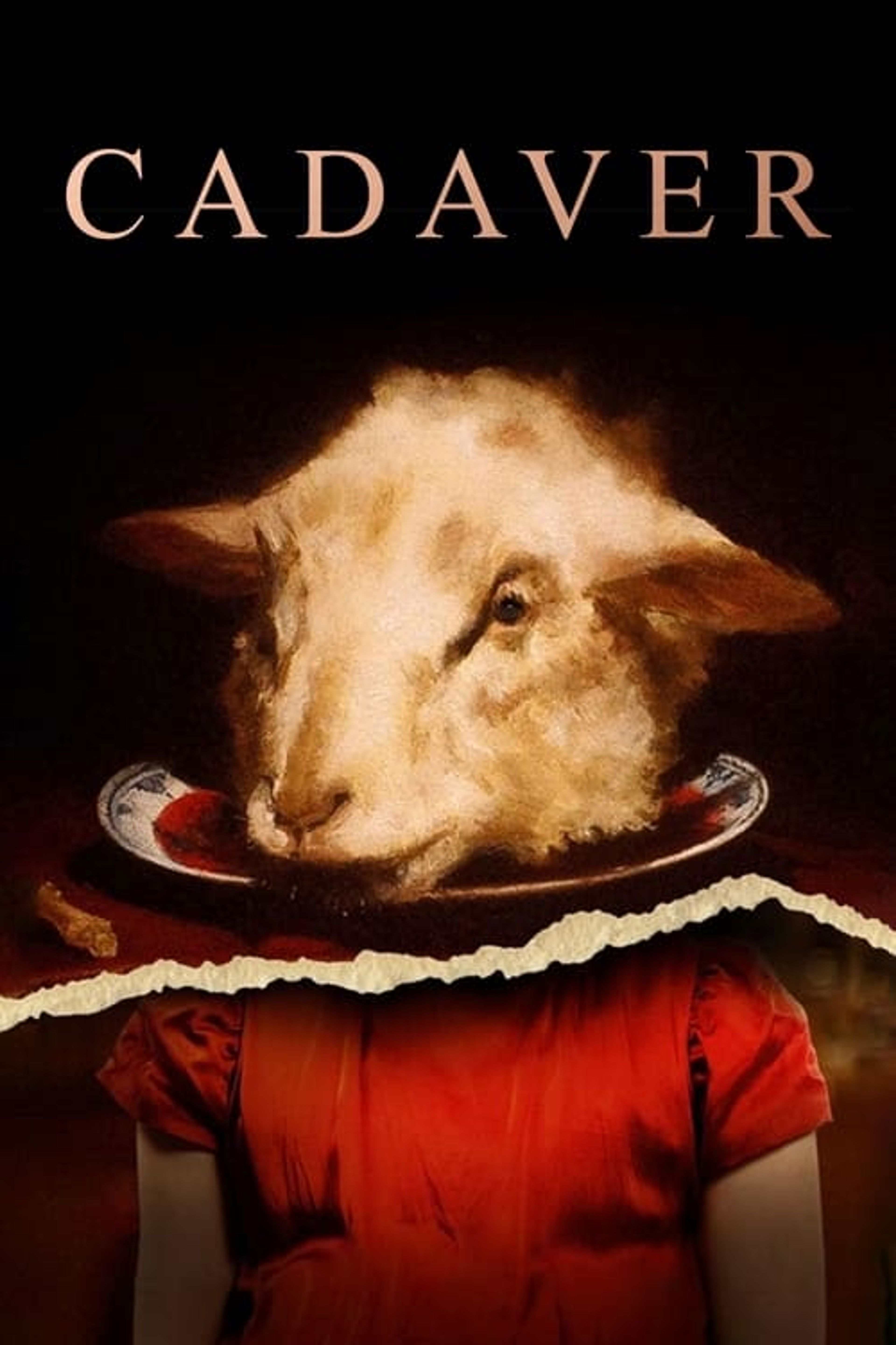 Poster image of Cadaver