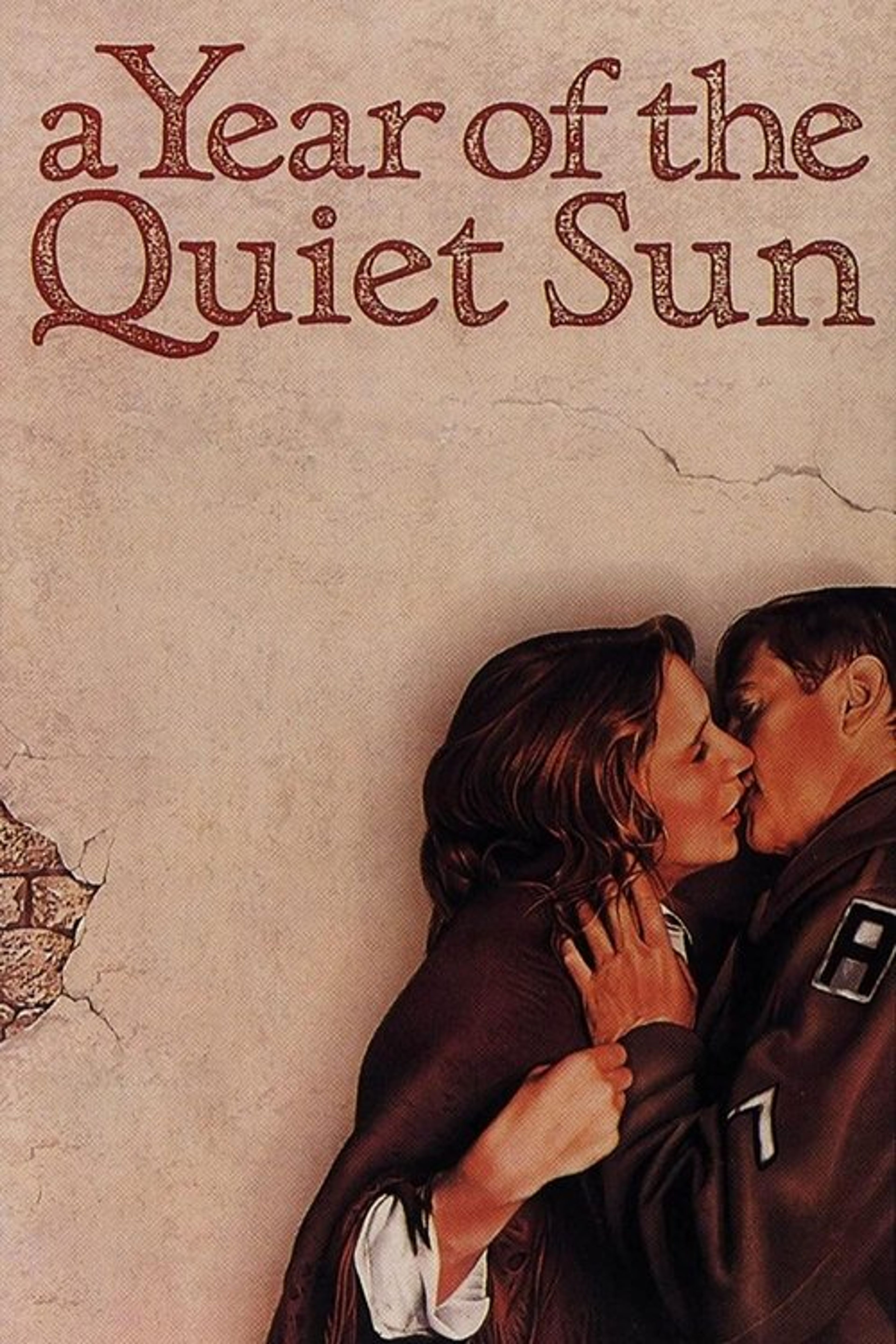 Poster image of A Year of the Quiet Sun